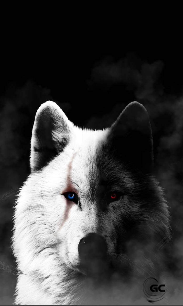 Black And White Wolf Wallpaper By Gregchourmouziadis - Black And White Wolf Phone , HD Wallpaper & Backgrounds