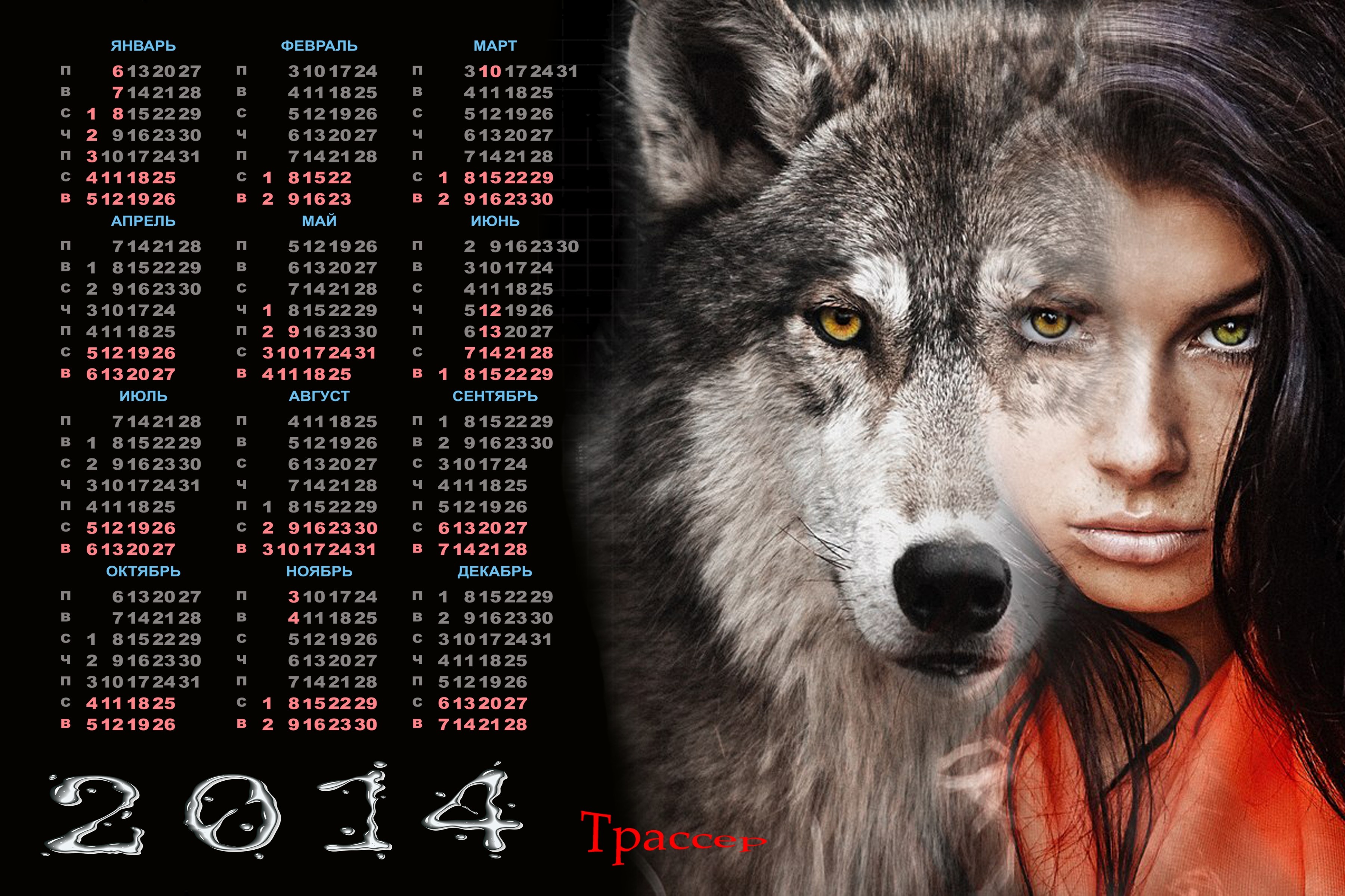 Calendar 2014 Lone Wolf Wallpaper - Lone Wolf Gold Wolf , HD Wallpaper & Backgrounds