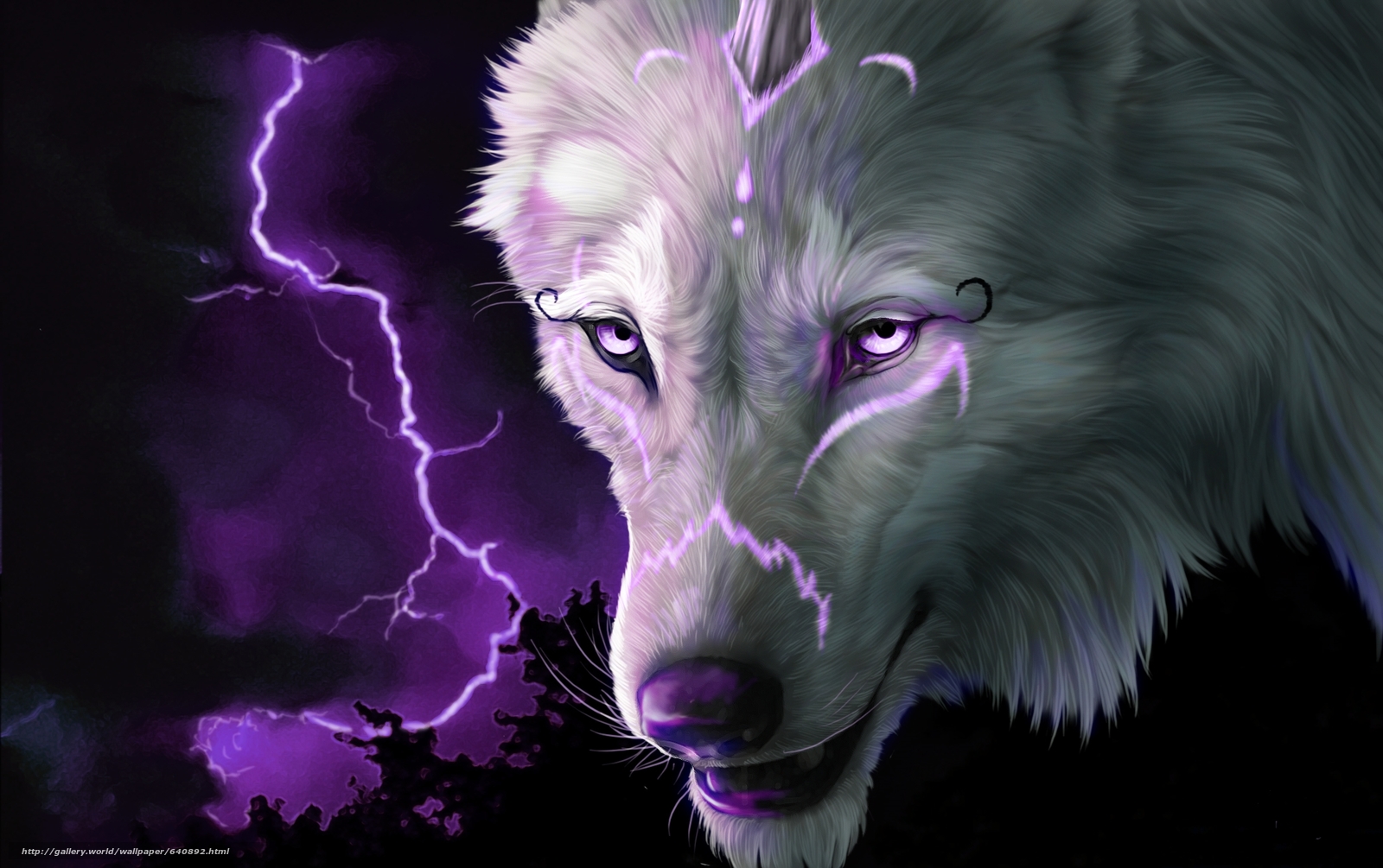 3d Wolf Wallpaper - Wolf Mystical Cool Backgrounds , HD Wallpaper & Backgrounds