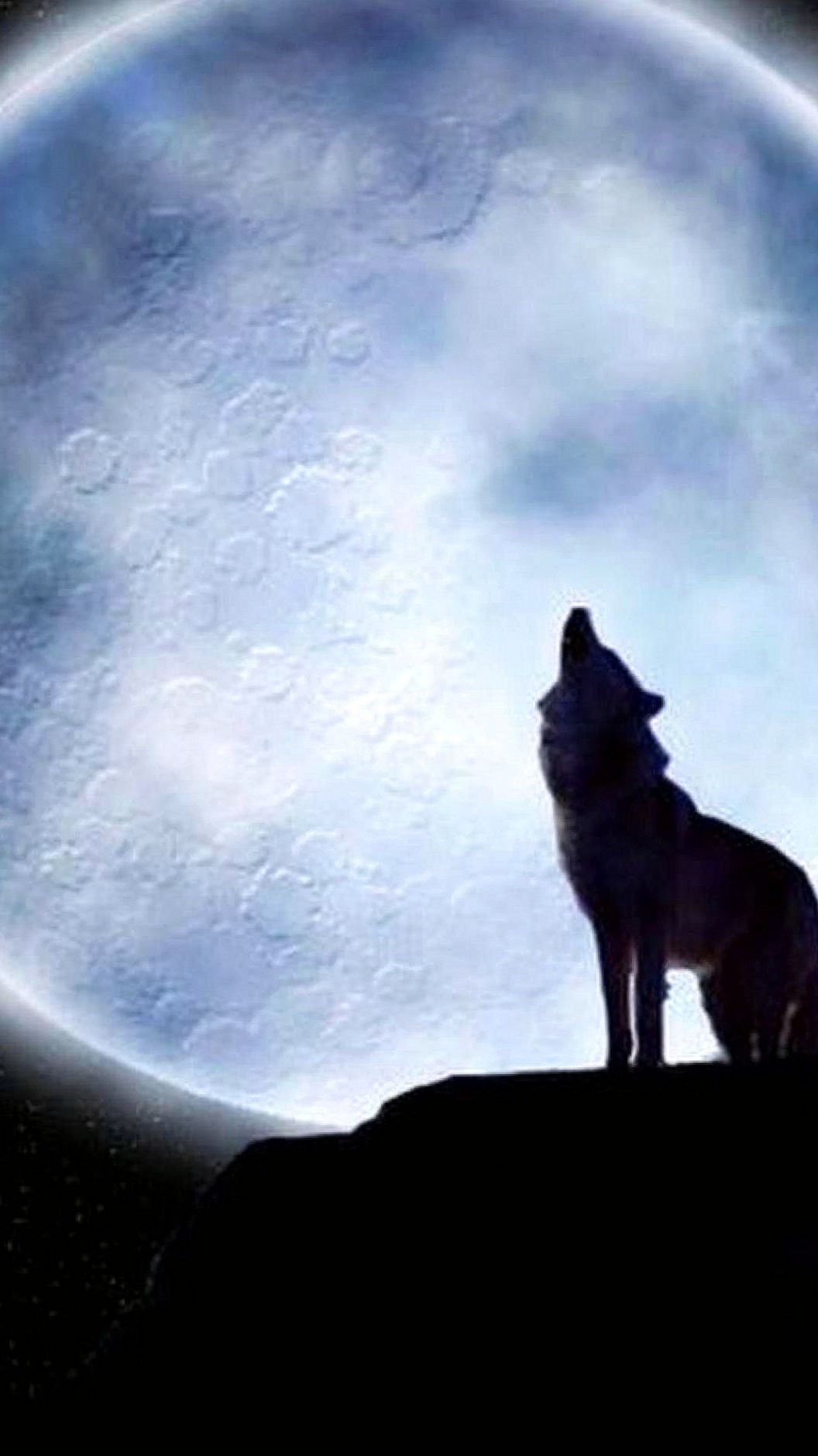 Lone Wolf Iphone Wallpaperslone Wolf Iphone 6 Wallpapers - Lone Wolf Hd Wallpaper For Iphone , HD Wallpaper & Backgrounds