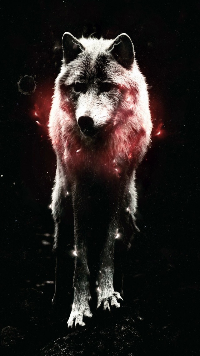 Dope Wolf , HD Wallpaper & Backgrounds