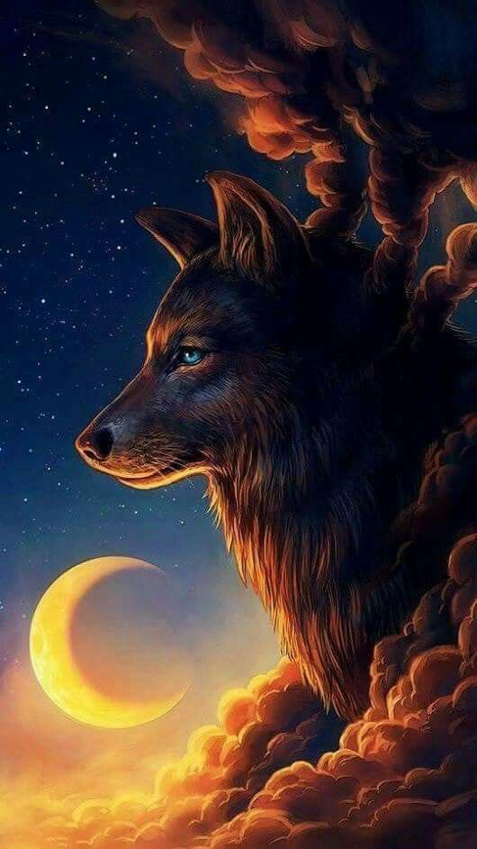 Night Guardian Wolf , HD Wallpaper & Backgrounds