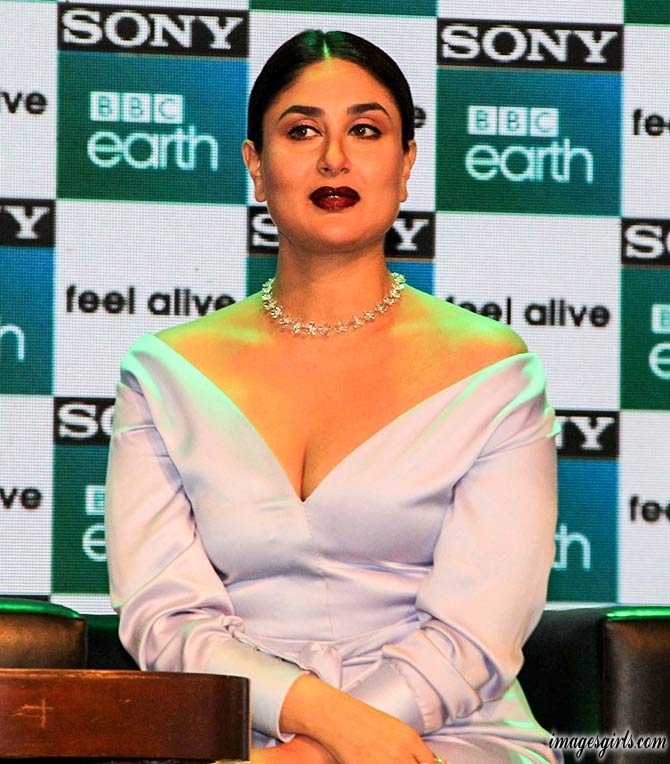 Image Default - Kareena Kapoor At The Launch Of Bbc Earth , HD Wallpaper & Backgrounds