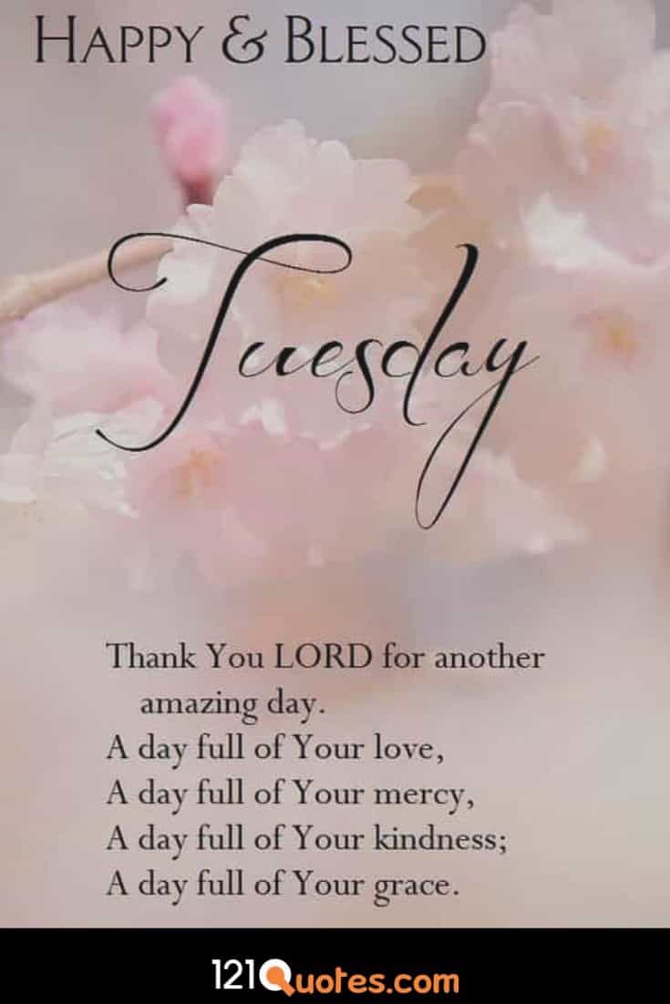 Happy And Blessed Tuesday Wallpaper - Blessing Happy Tuesday , HD Wallpaper & Backgrounds