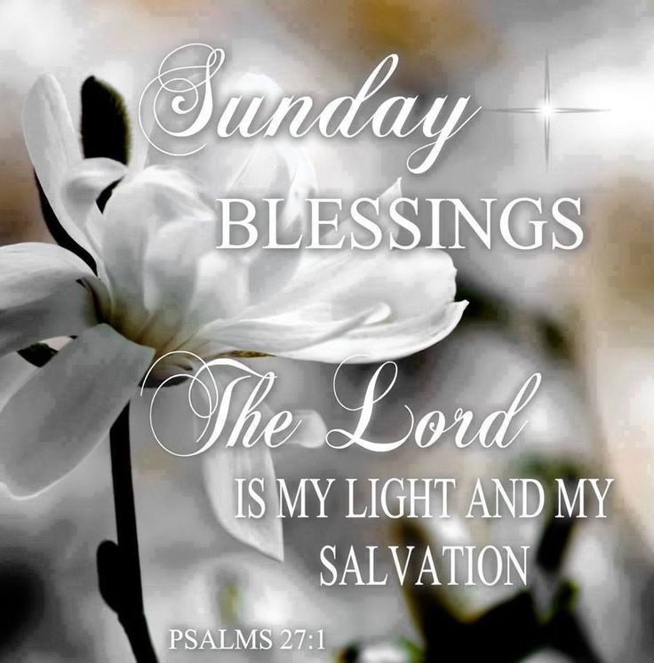 Sunday Morning Wallpaper - Sunday Blessings Images And Quotes Psalms , HD Wallpaper & Backgrounds