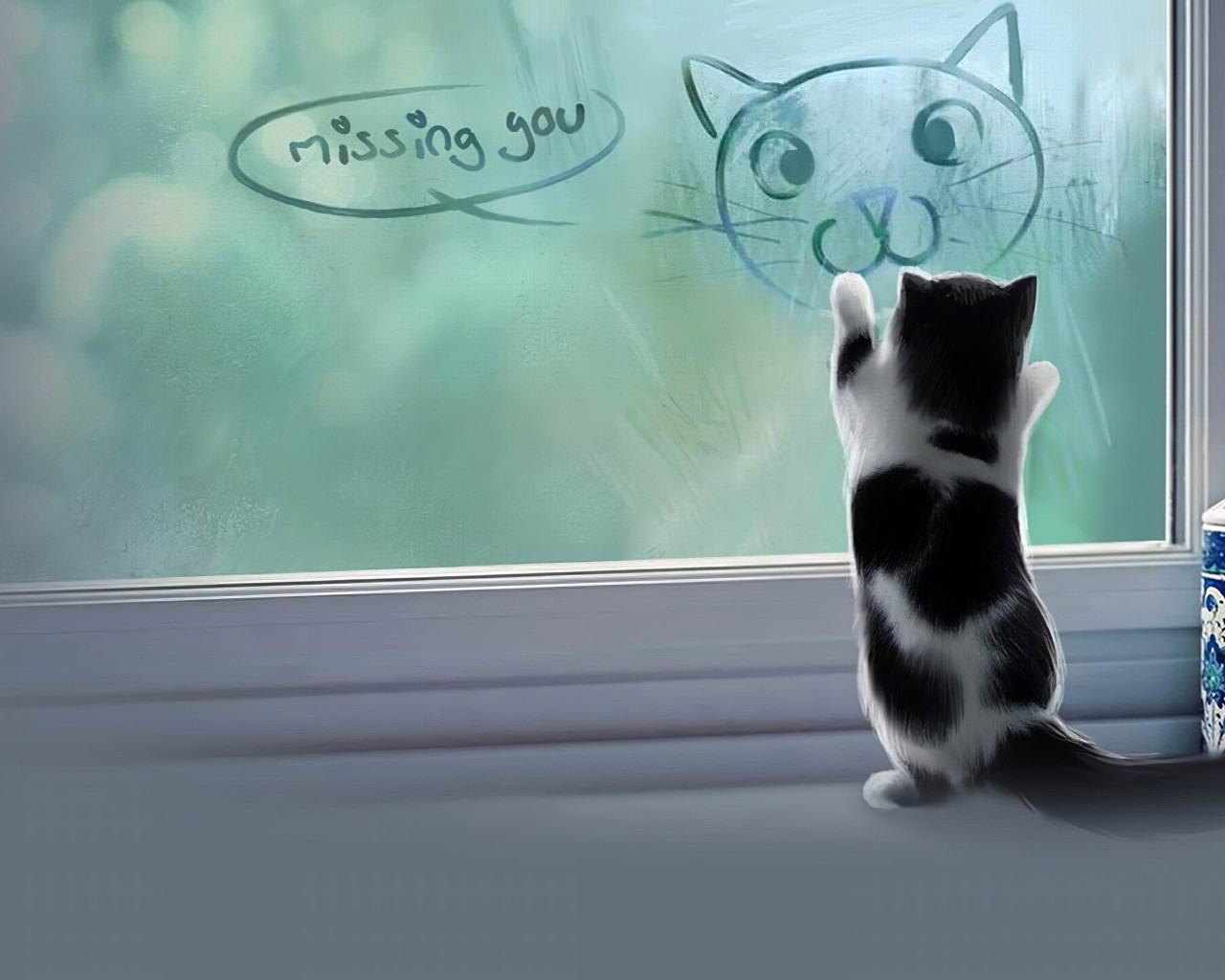 Cute Cat Miss You , HD Wallpaper & Backgrounds