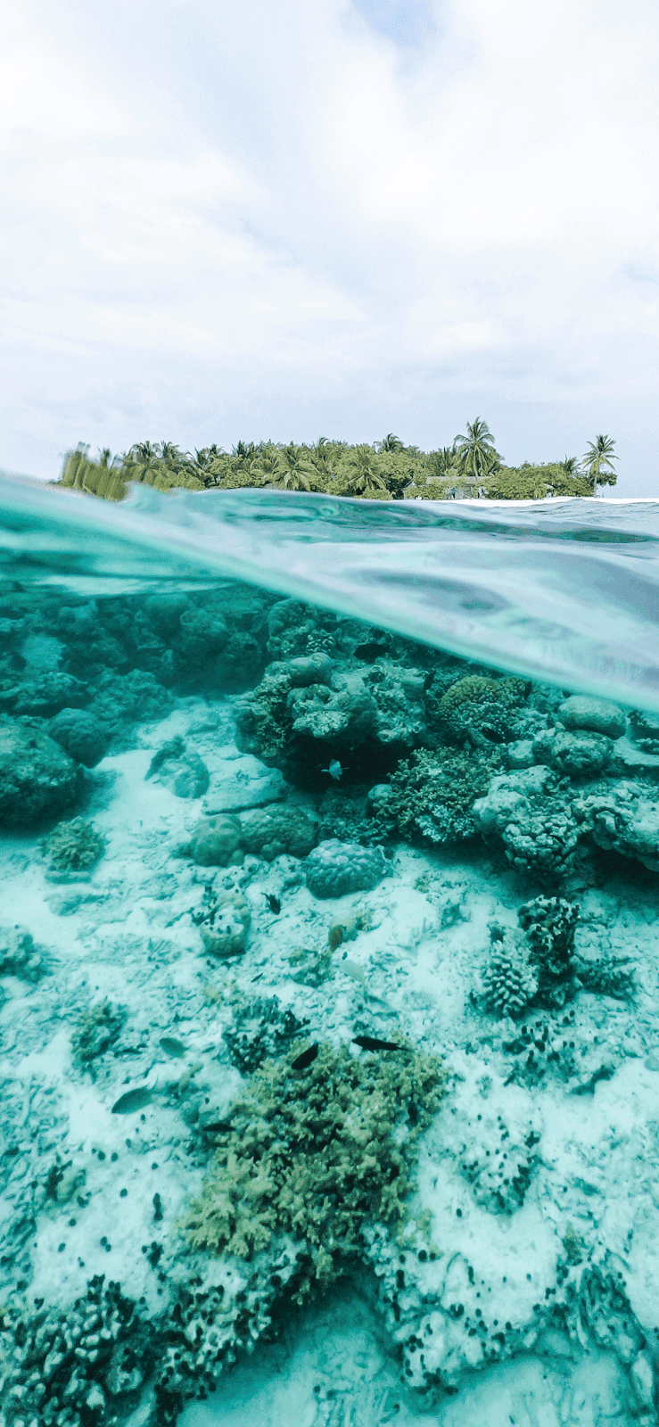 Underwater Ocean Wallpaper Iphone , HD Wallpaper & Backgrounds