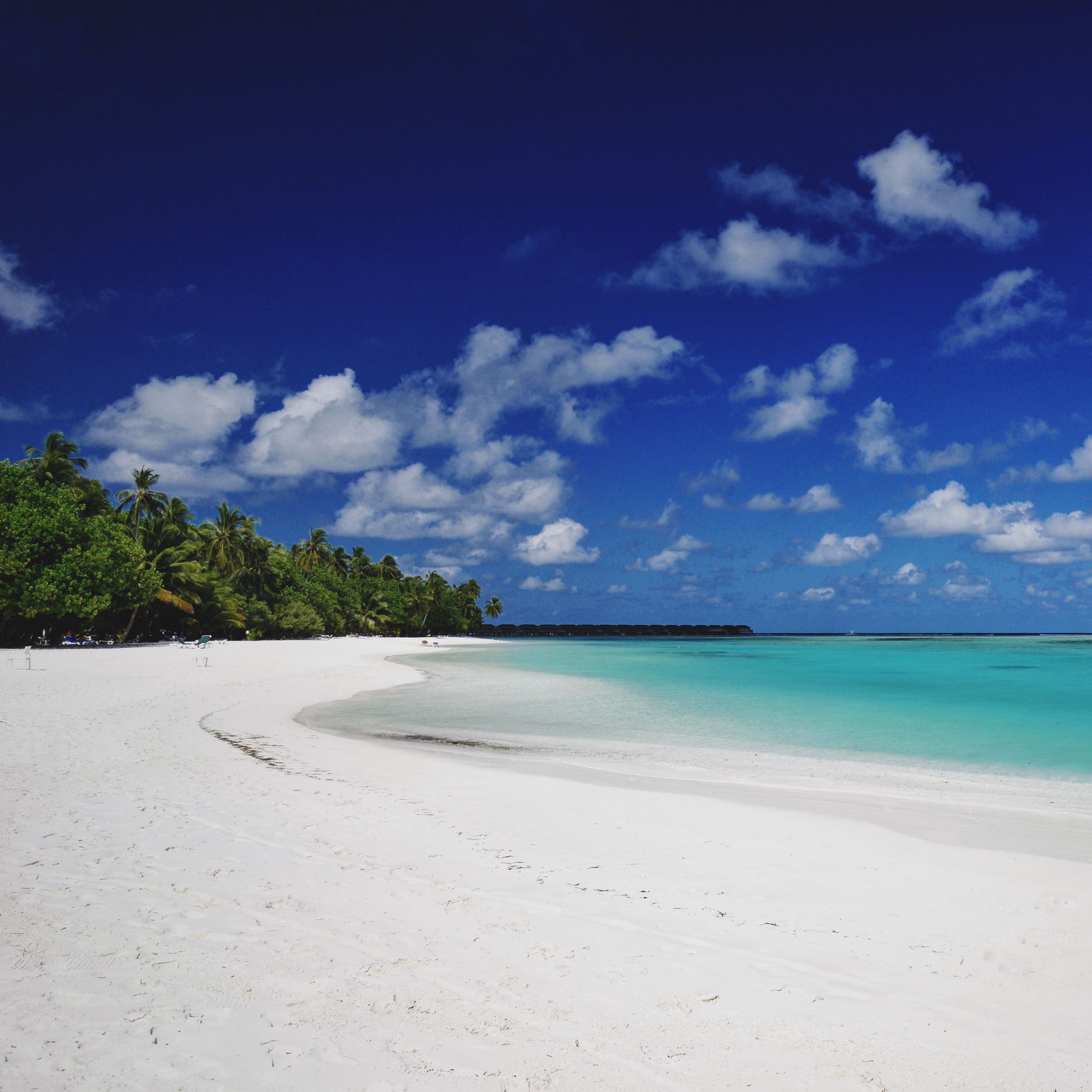 Wallpaper Beach, Sand, Palm, Island, Tropical, Maldives - Maldives Background , HD Wallpaper & Backgrounds