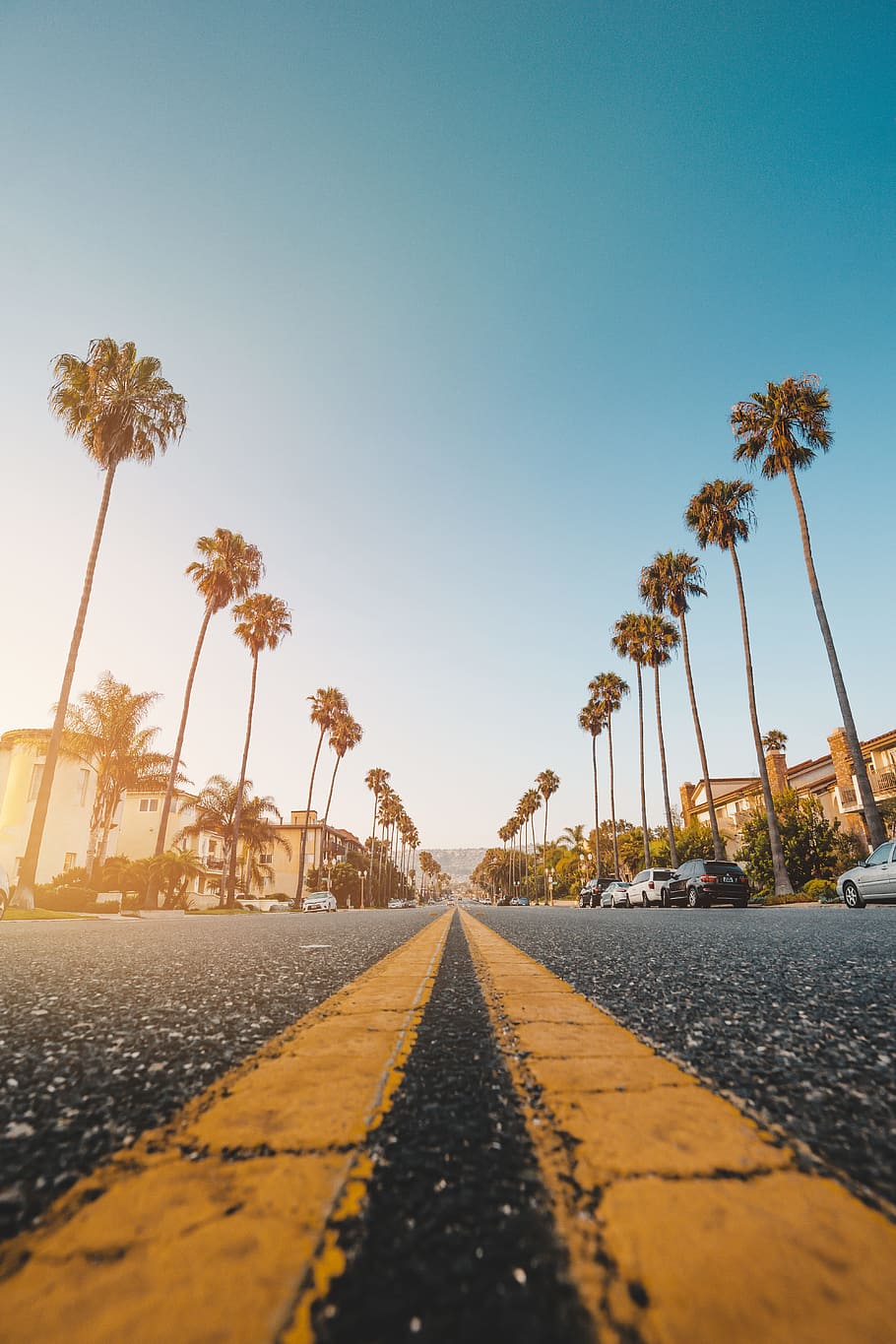 Palm Tree At Side Of Grey Concrete Road, Tarmac, Roadside, - Palm Trees Wallpaper Iphone , HD Wallpaper & Backgrounds