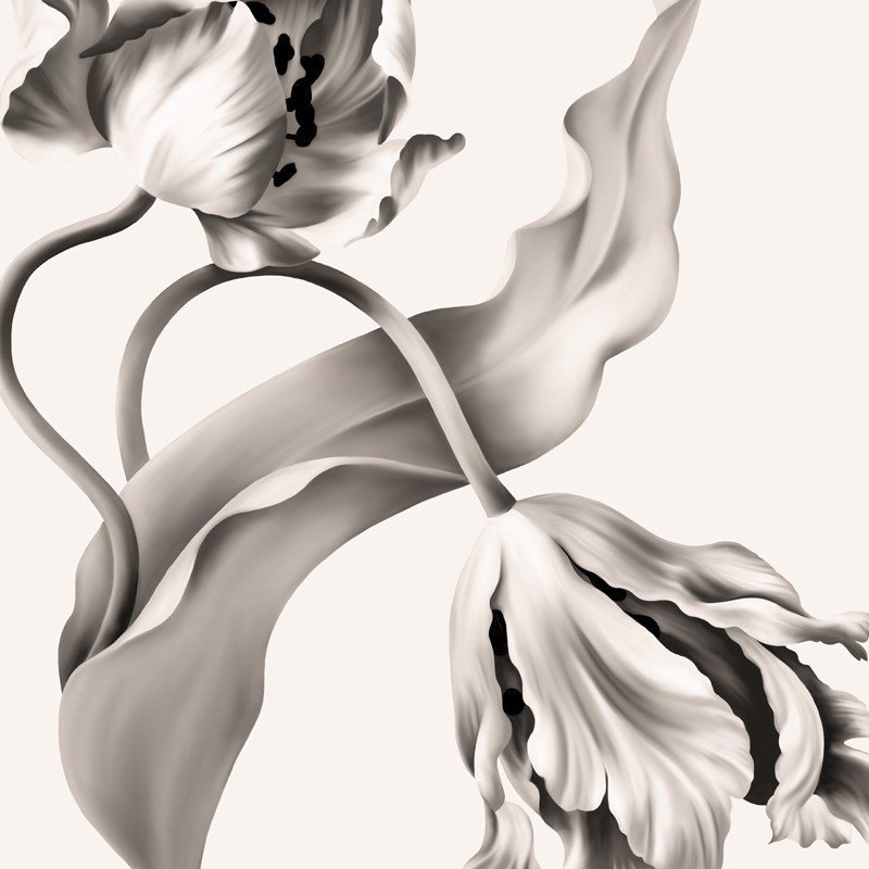 Twisting Tulips White Wallpaper 
 Title Twisting Tulips - Black And White Floral , HD Wallpaper & Backgrounds