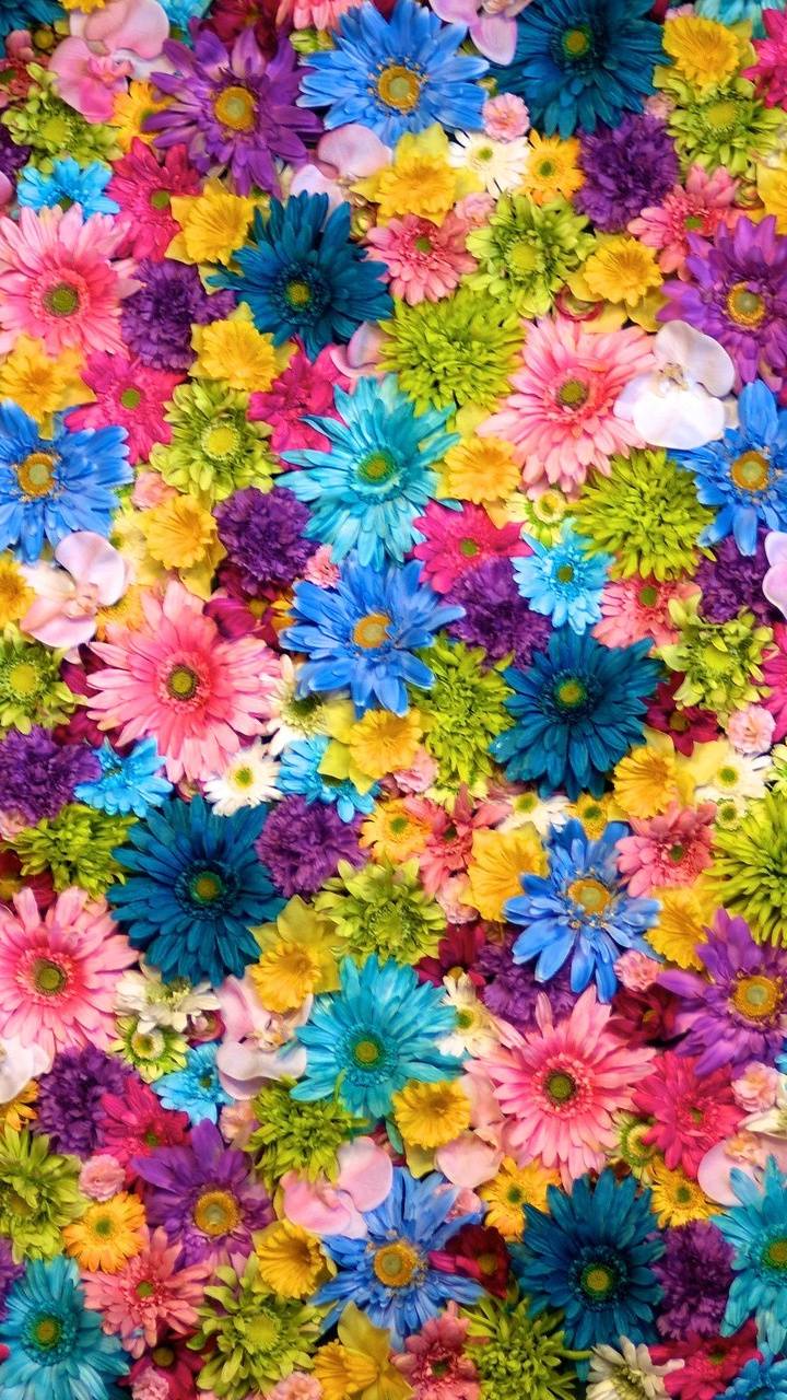 Flower Phone Wallpaper - Flower Wallpaper Phone , HD Wallpaper & Backgrounds