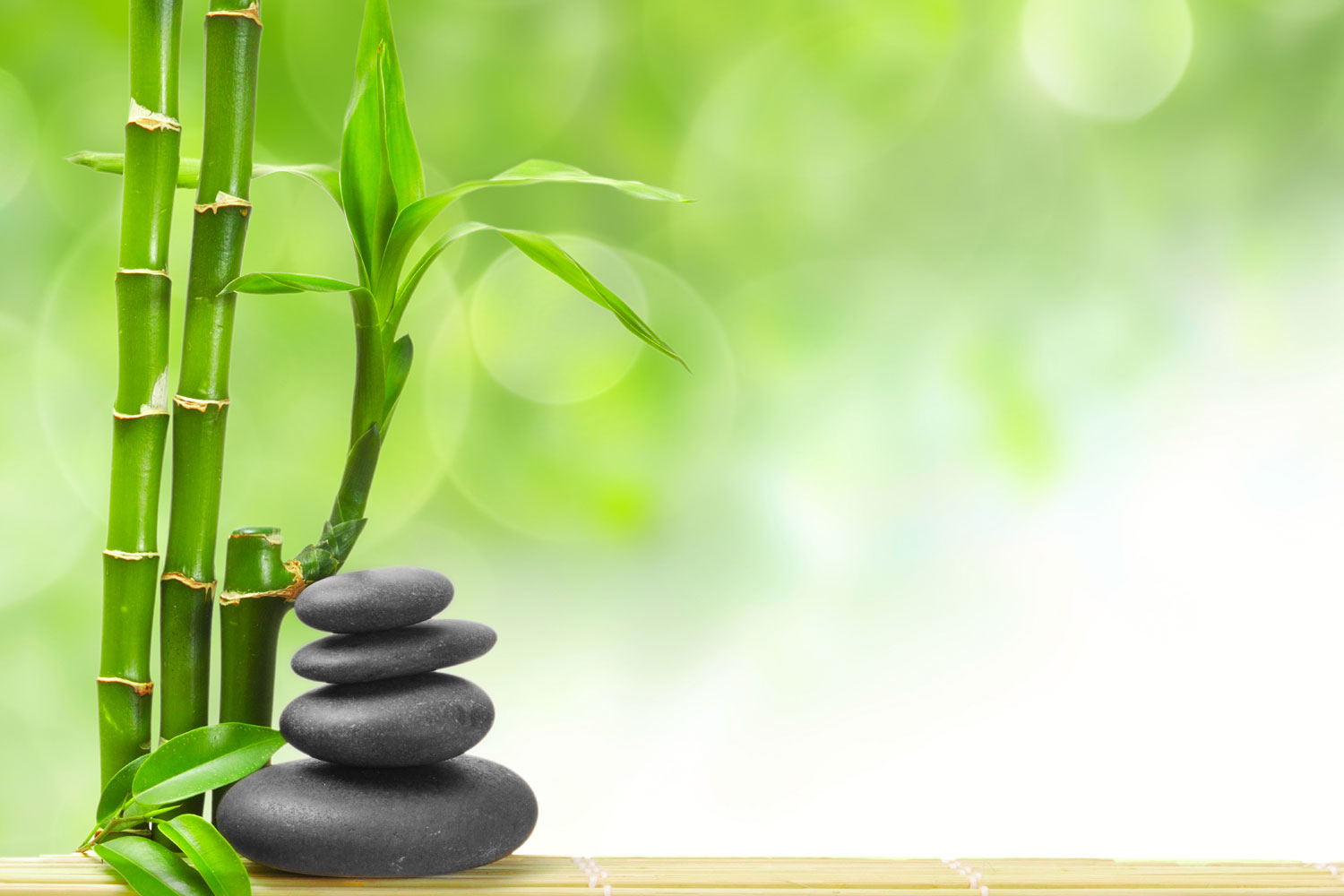 Wallpapers Spa - Bamboo Zen , HD Wallpaper & Backgrounds