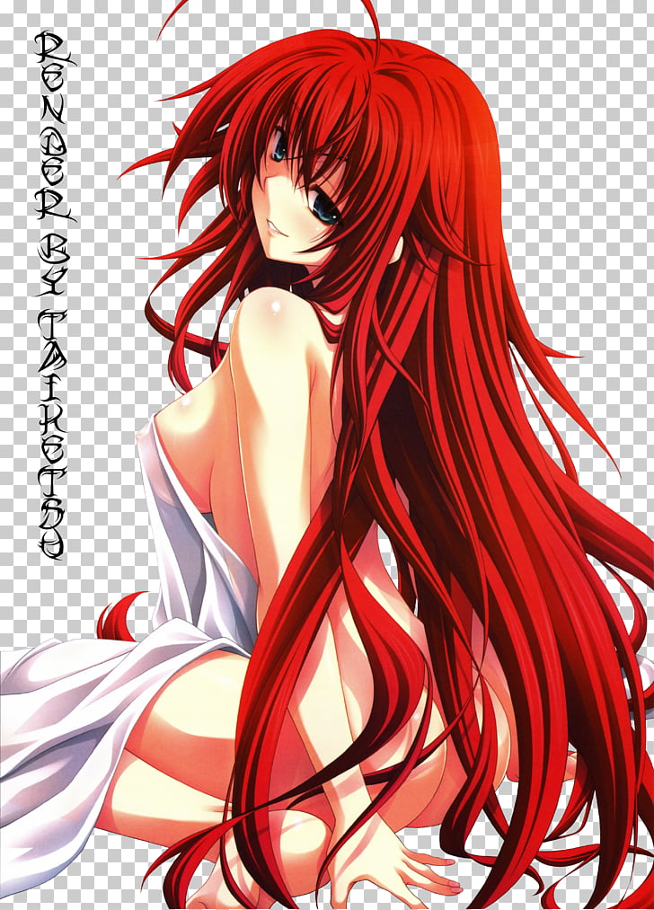 Rias Gremory Highschool Dxd , HD Wallpaper & Backgrounds