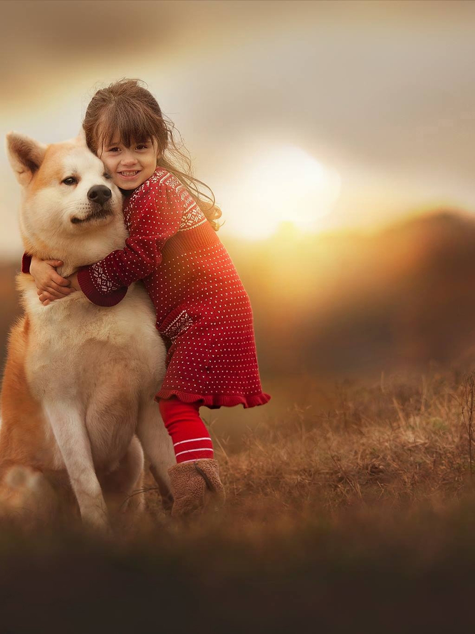 Shiba Inu With Child , HD Wallpaper & Backgrounds