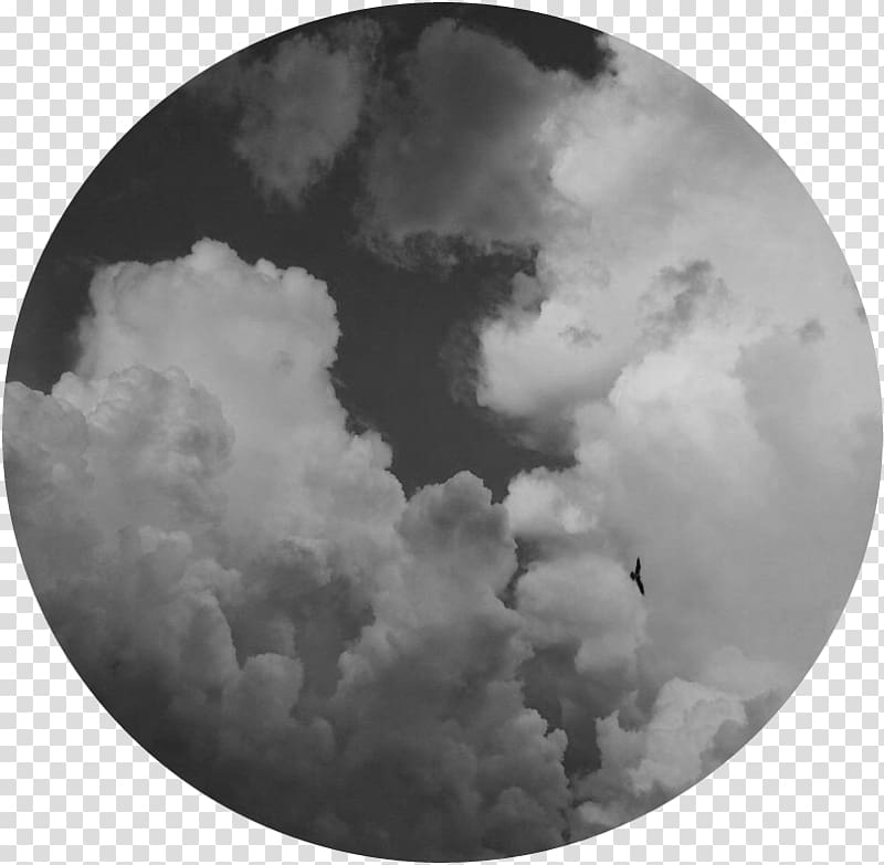 Grayscale Of Bird Flying Under Clouds, Aesthetics Of - Primary Color Wheel , HD Wallpaper & Backgrounds