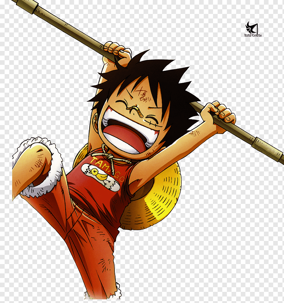 Luffy Portgas D - Holy Family Catholic Church , HD Wallpaper & Backgrounds