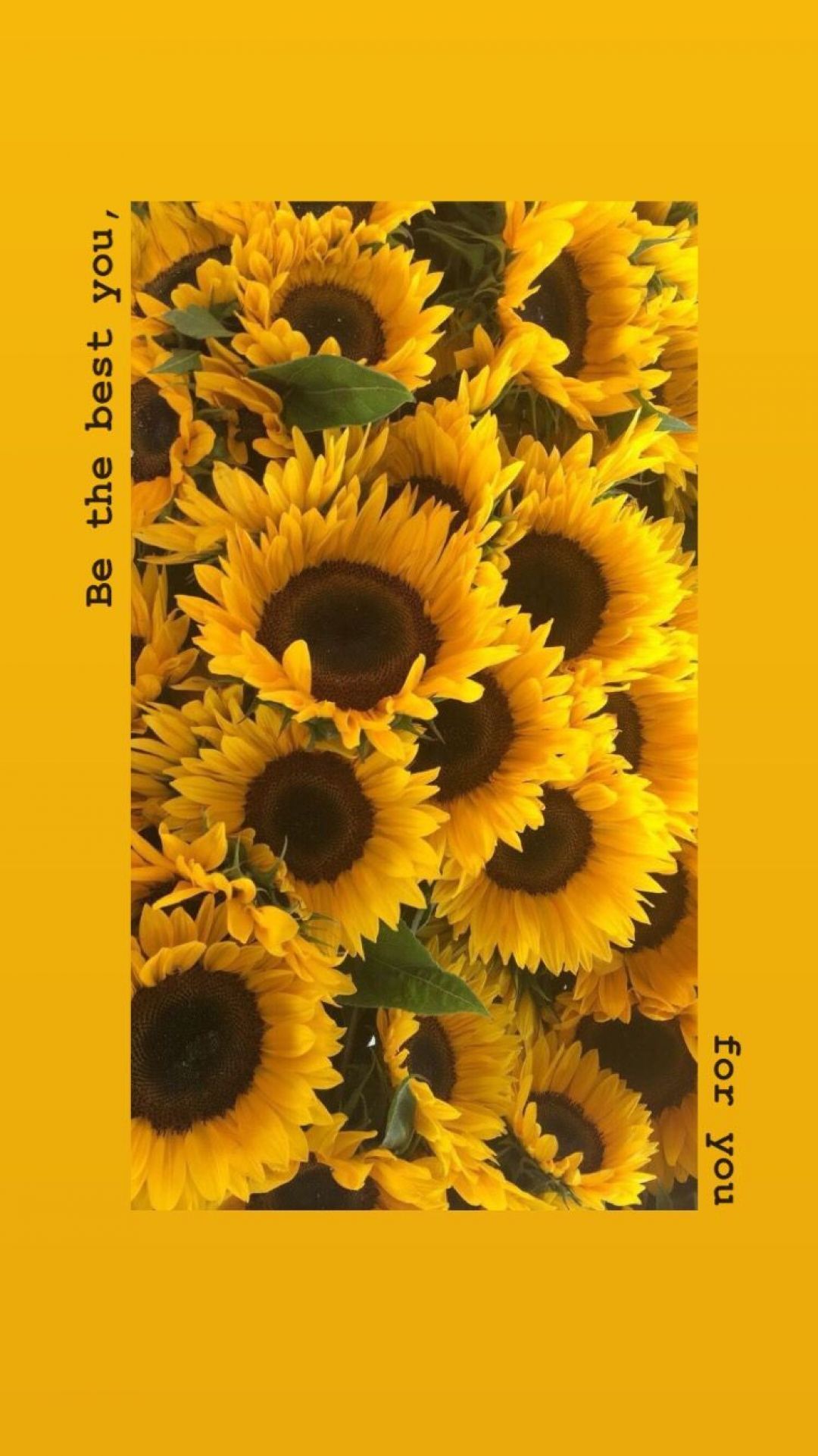Yellow Aesthetic Sunflowers Hd Wallpapers (1080p, 4k) - Aesthetic Wallpaper Yellow Sunflower , HD Wallpaper & Backgrounds