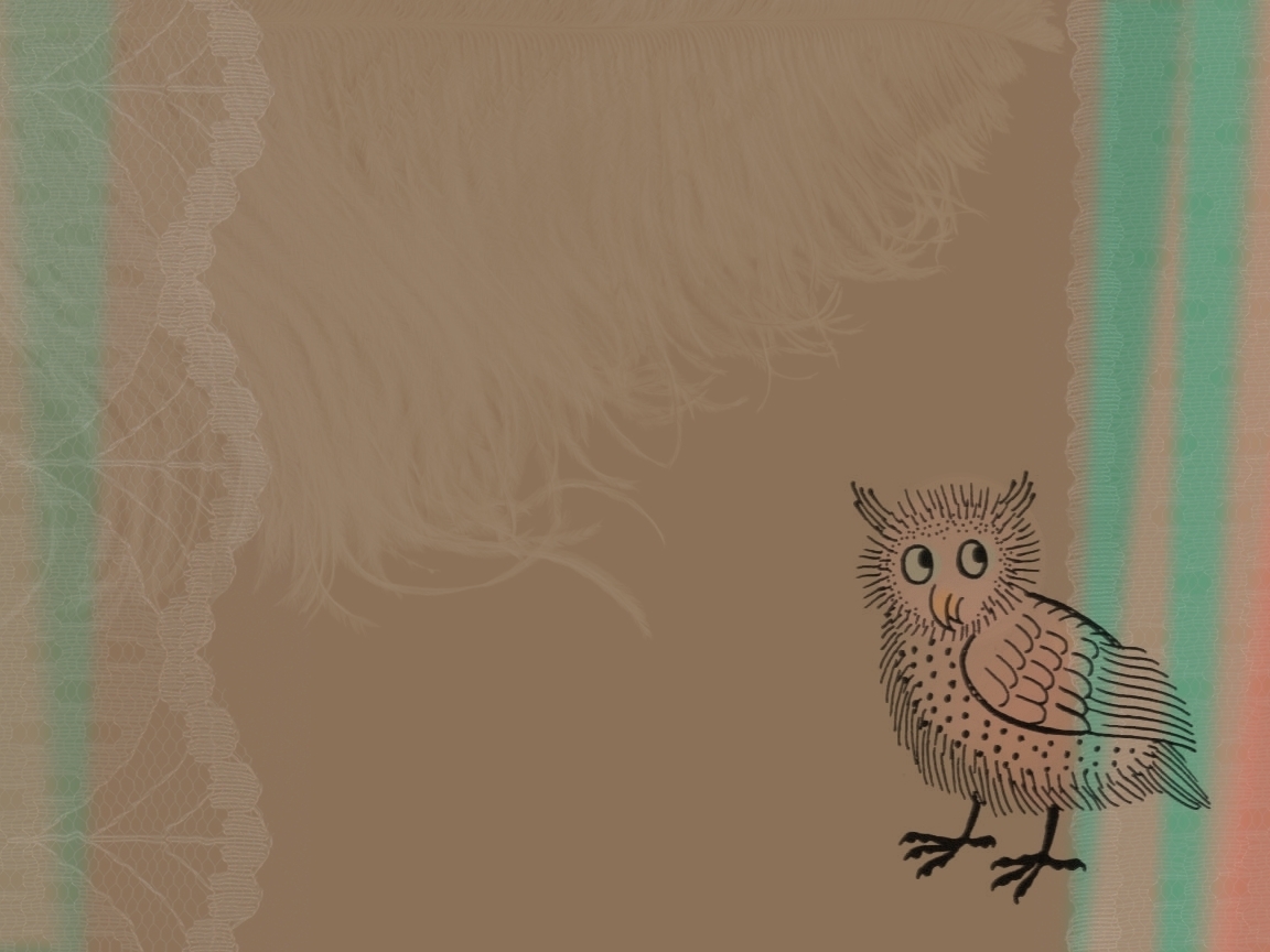 Little Owl Wallpaper - Owl , HD Wallpaper & Backgrounds