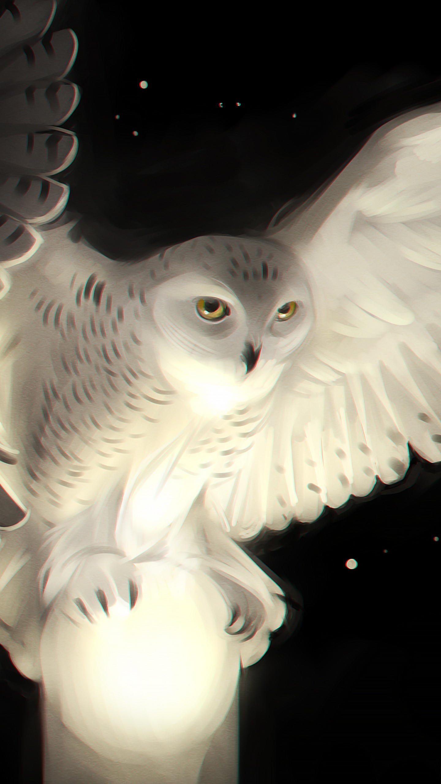 White Owl , HD Wallpaper & Backgrounds