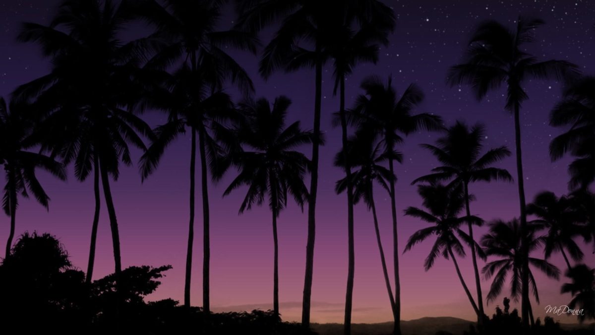 Purple Drank Wallpapers Lean Apk Direct Download Free - Purple Sunset Palm Tree , HD Wallpaper & Backgrounds