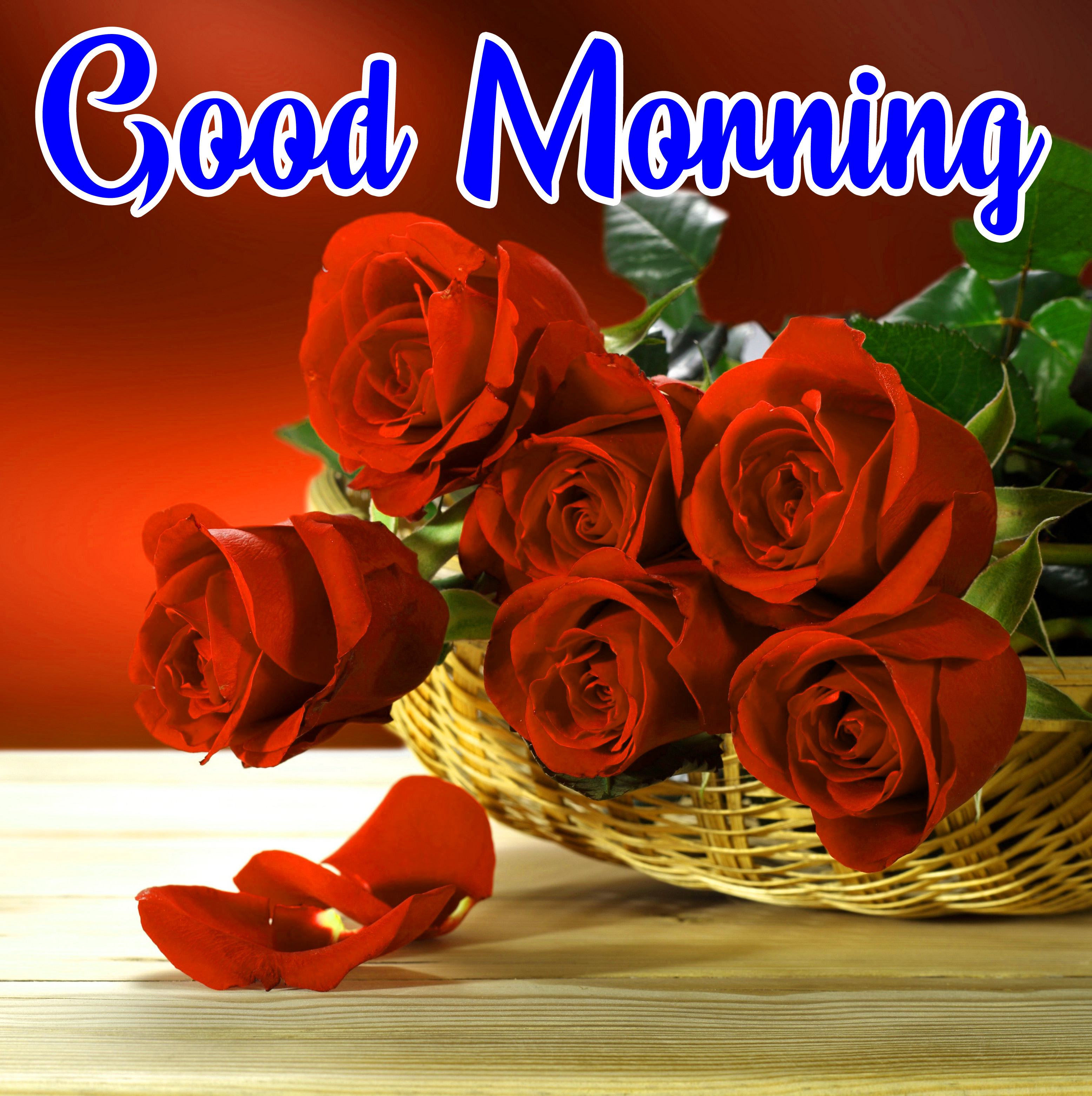 Flowers Love Good Morning Wallpaper Download - Red Rose +good Morning , HD Wallpaper & Backgrounds
