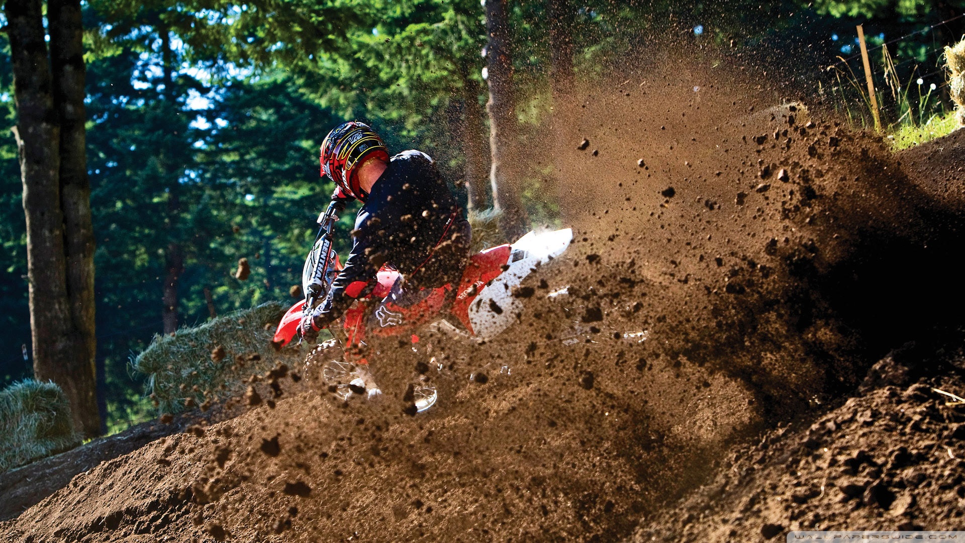 Motocross In The Forest , HD Wallpaper & Backgrounds