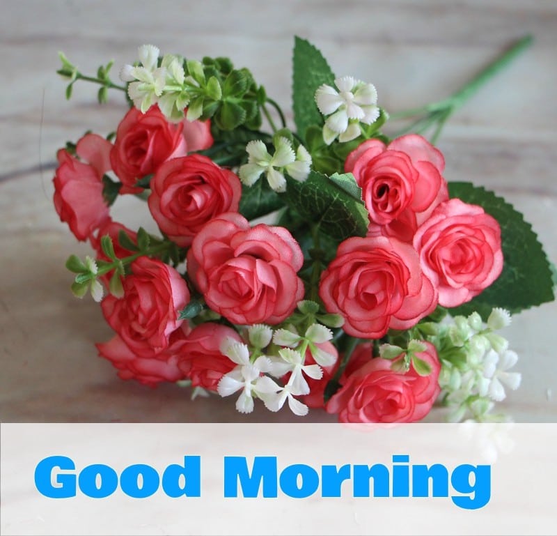 Good Morning Images With Rose Flowers - Good Morning Wishes With Red Roses , HD Wallpaper & Backgrounds