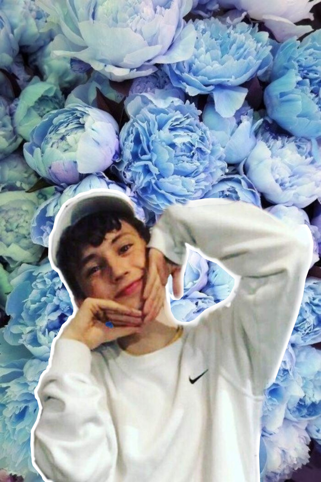 Troye Sivan Wallpaper - Blue Flowers , HD Wallpaper & Backgrounds