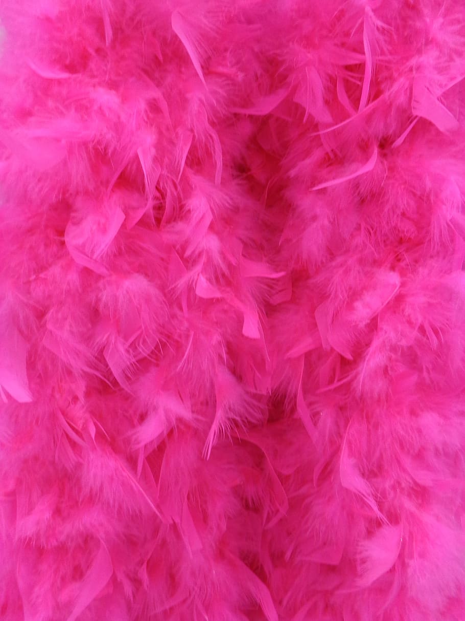 Background, Pink, Fluffy, Feathers, Texture, Color, - Dark Pink Feather Background , HD Wallpaper & Backgrounds