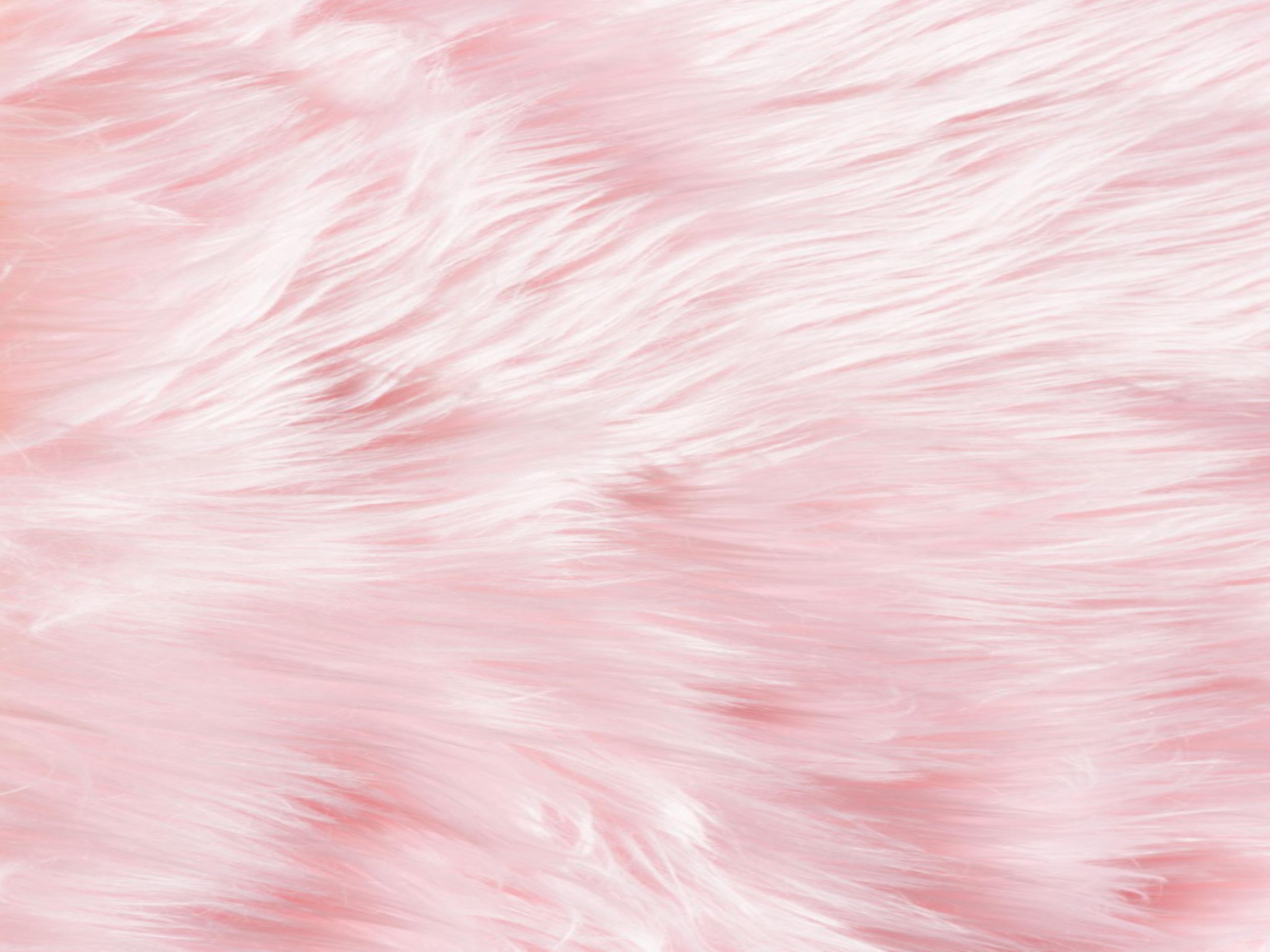 Hd Wallpaper - Pink Furry Background , HD Wallpaper & Backgrounds