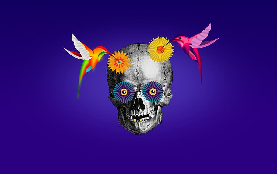 Dia De Los Muertos - Stock.xchng , HD Wallpaper & Backgrounds