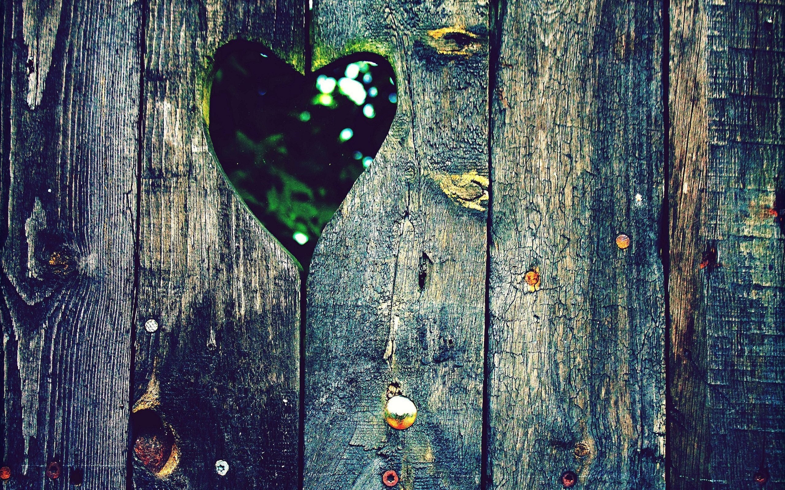 Heart In A Fence - Wood Fence Heart Hole , HD Wallpaper & Backgrounds