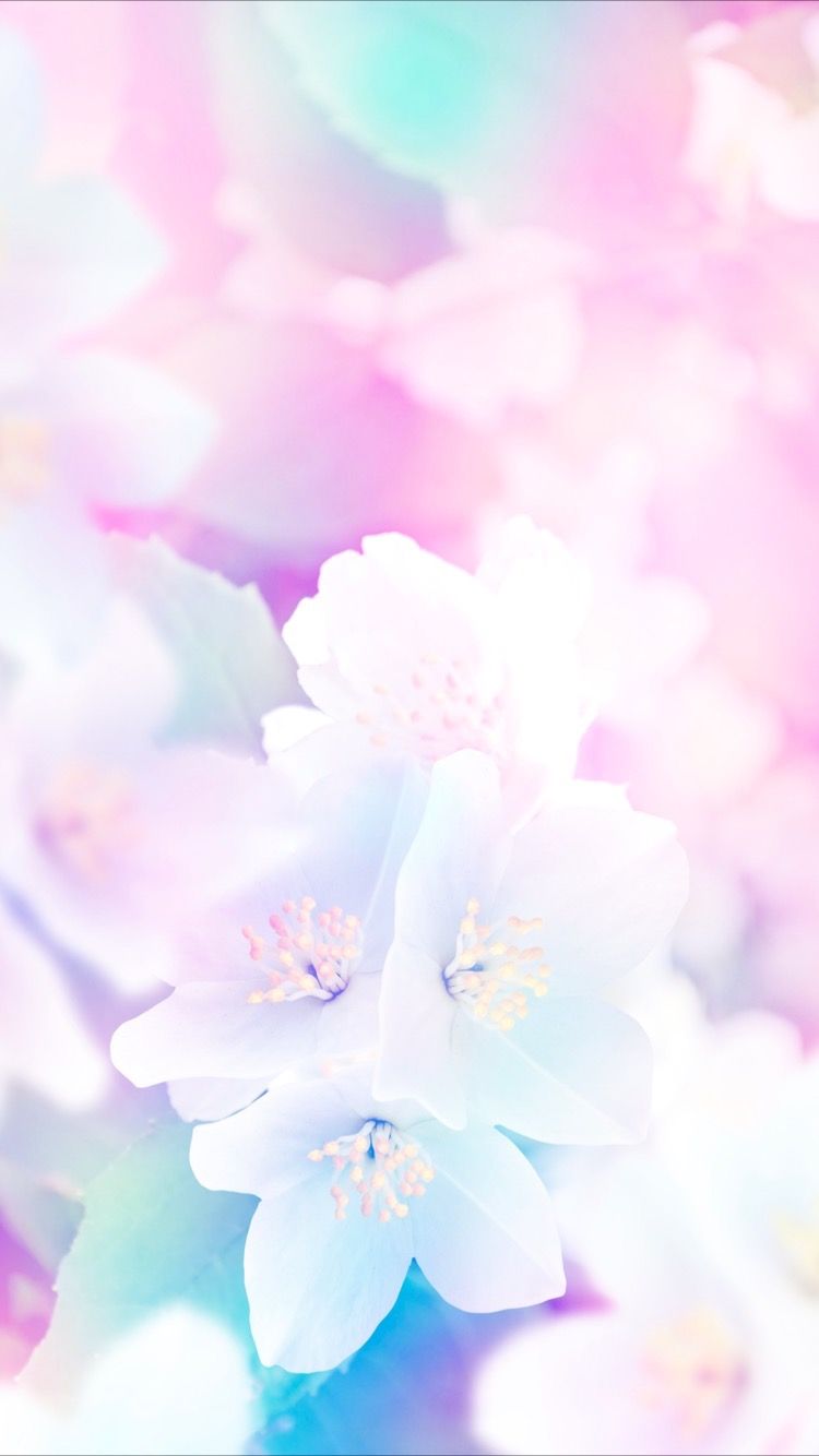 Pink, Petal, Sky, Flower, Plant, Spring, Iphone Wallpaper - Pastel Flower Wallpaper Iphone , HD Wallpaper & Backgrounds