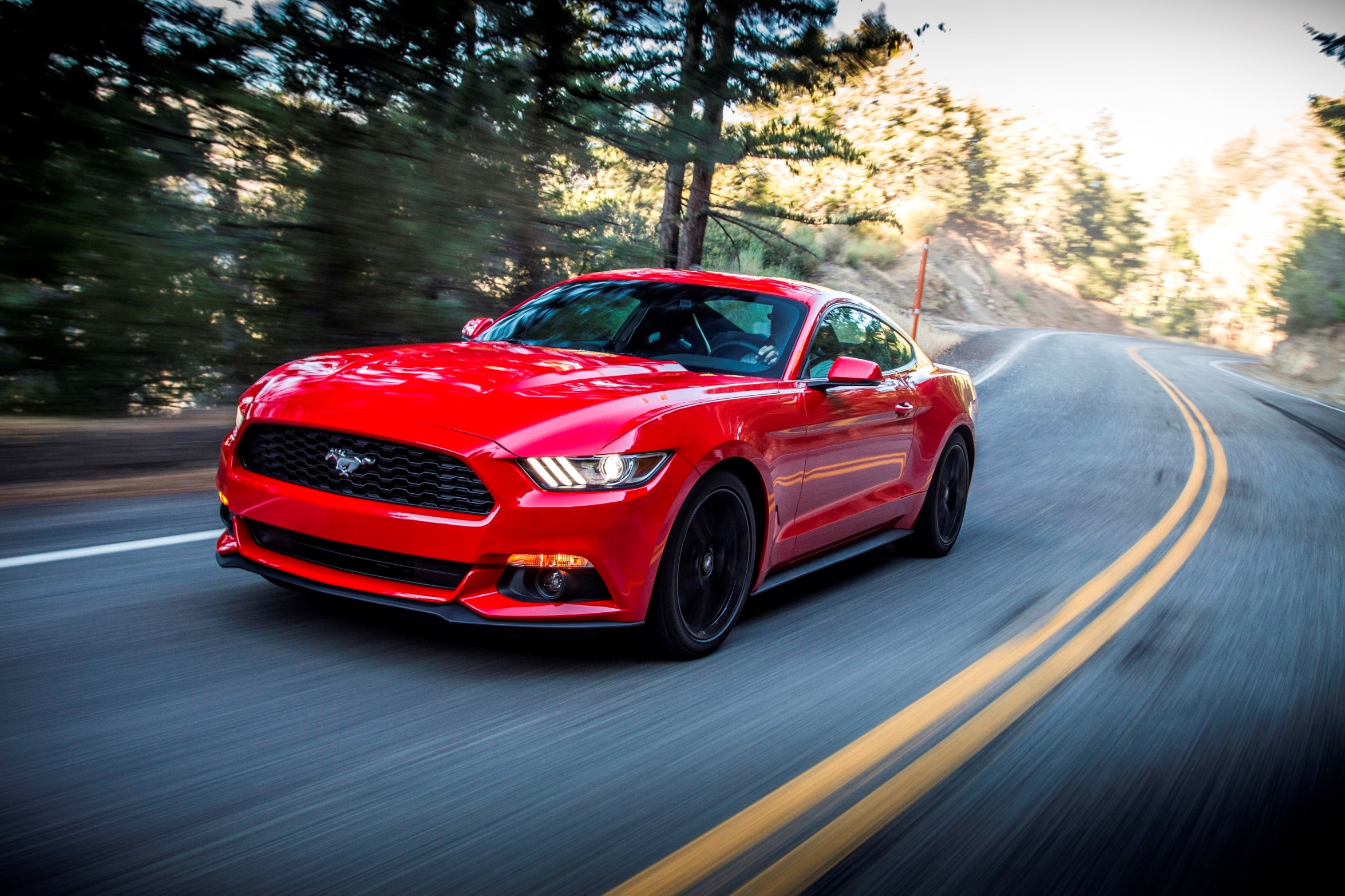 Ford Mustang 2015 Red , HD Wallpaper & Backgrounds