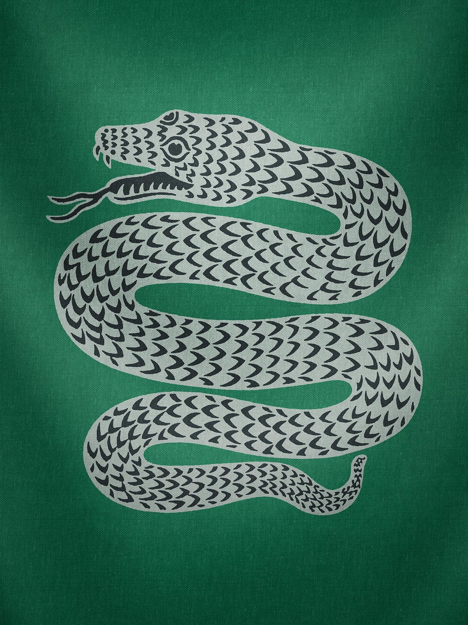 Slytherin Iphone Wallpaper Slytherin Iphone Wallpaper - Slytherin House , HD Wallpaper & Backgrounds