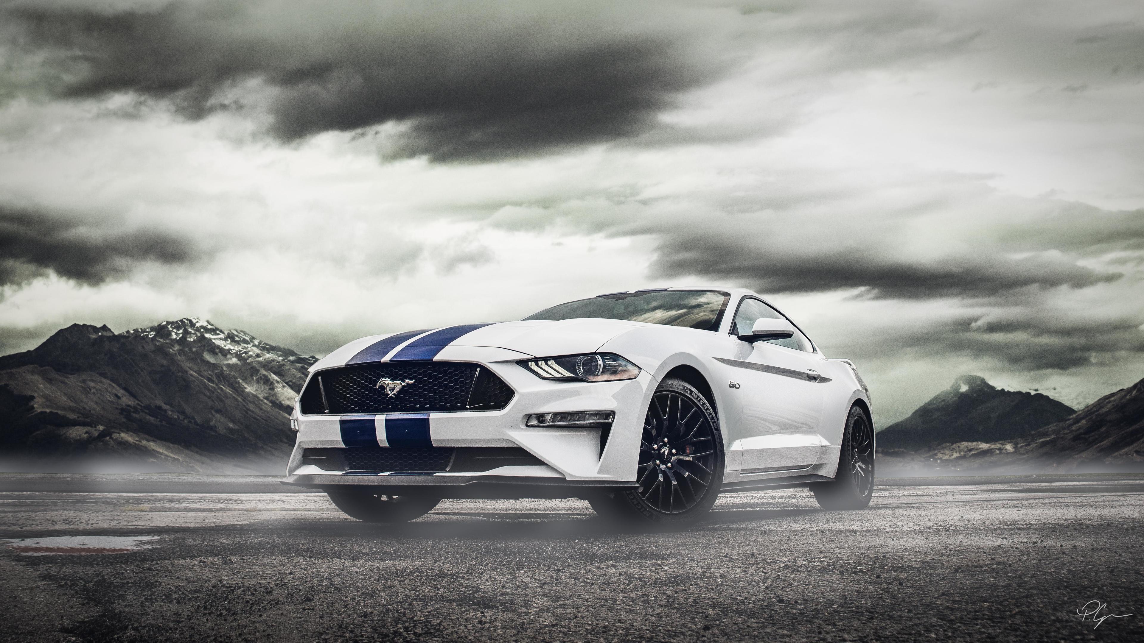 Ford Mustang New - Mustang Hd , HD Wallpaper & Backgrounds