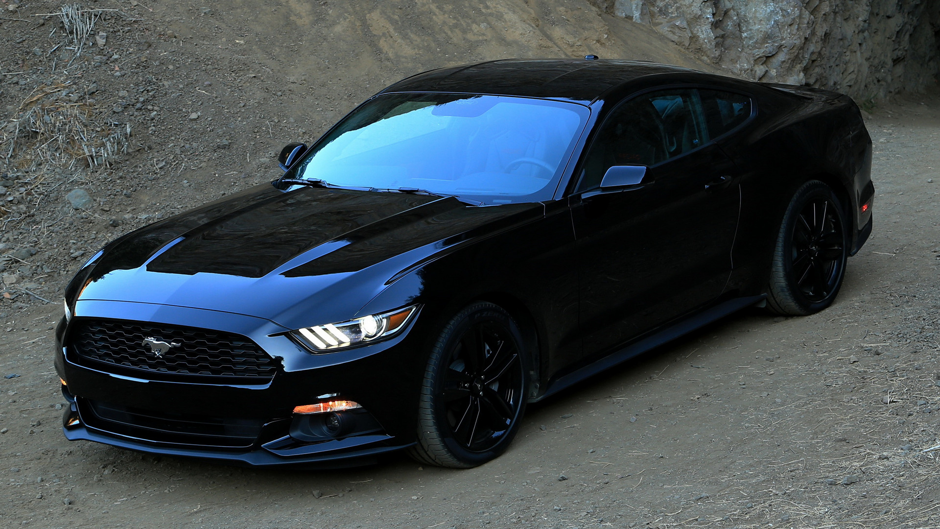 2015 Ford Mustang Black On Black , HD Wallpaper & Backgrounds