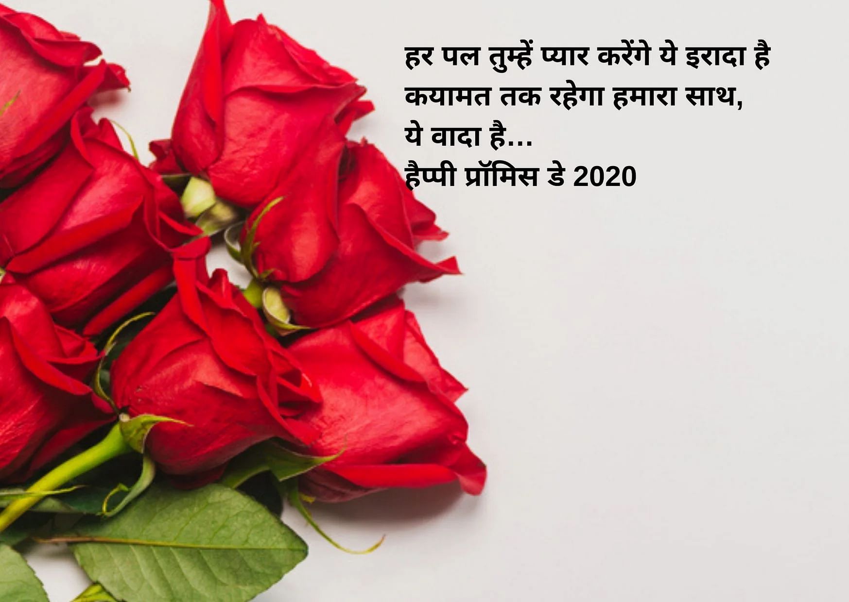 Happy Rose Day 2020 , HD Wallpaper & Backgrounds