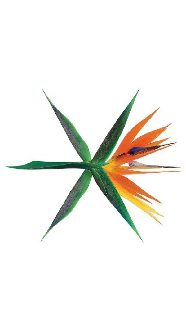 Logo De Exo Kokobop , HD Wallpaper & Backgrounds