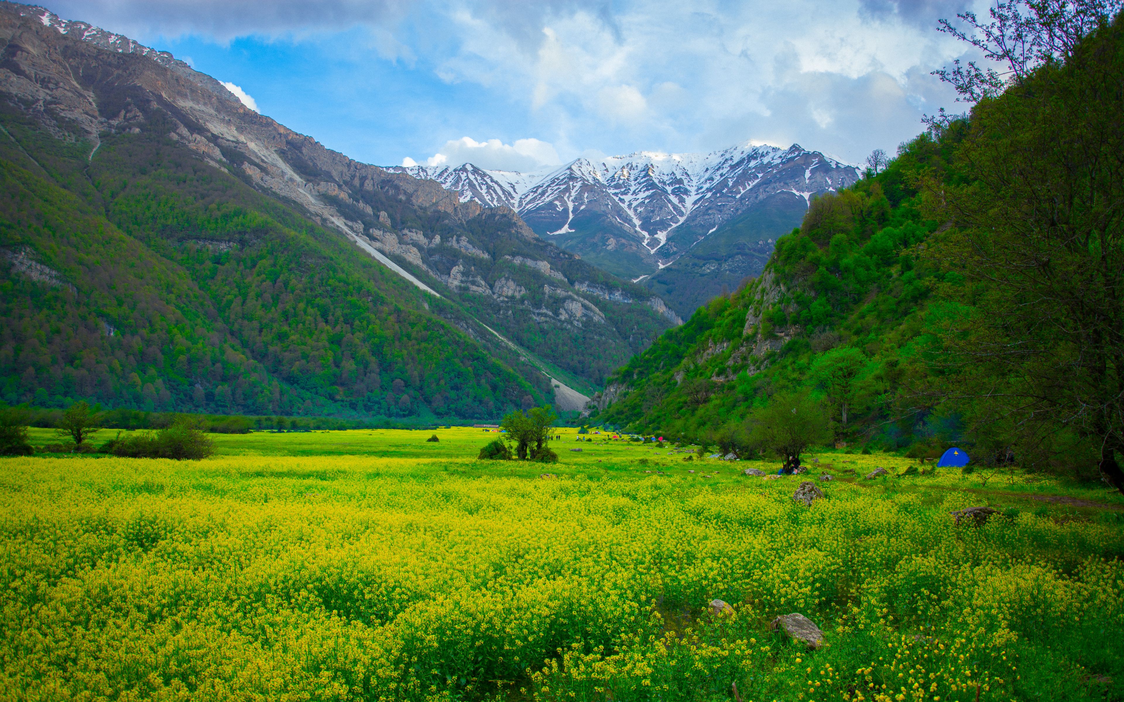 Wallpaper Meadow, Mountains, Flowers, Landscape - 4k Wallpaper Meadow , HD Wallpaper & Backgrounds