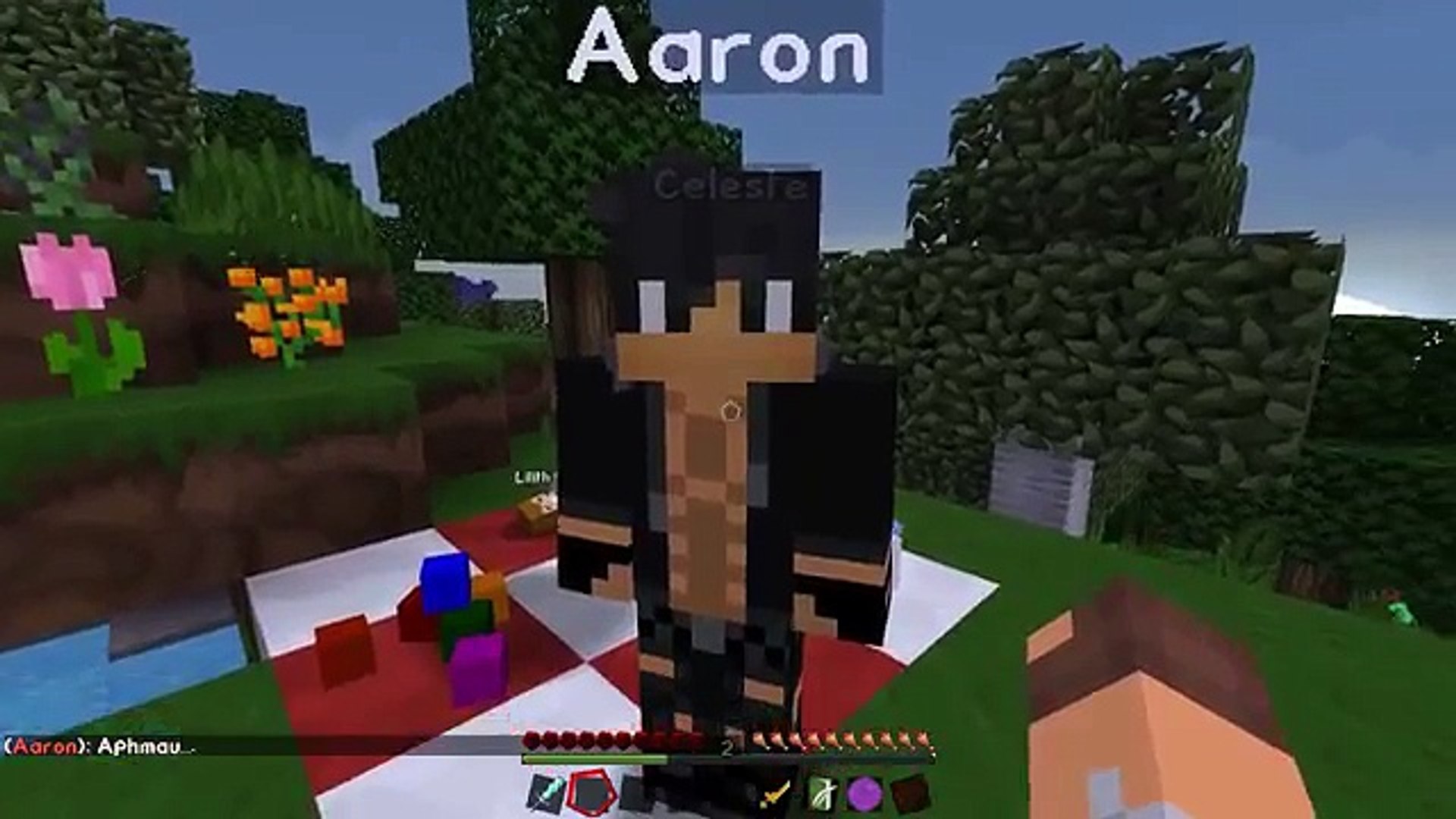 Aphmau Aaron Minecraft Diaries (#3191346) - HD Wallpaper & Backgrounds ...