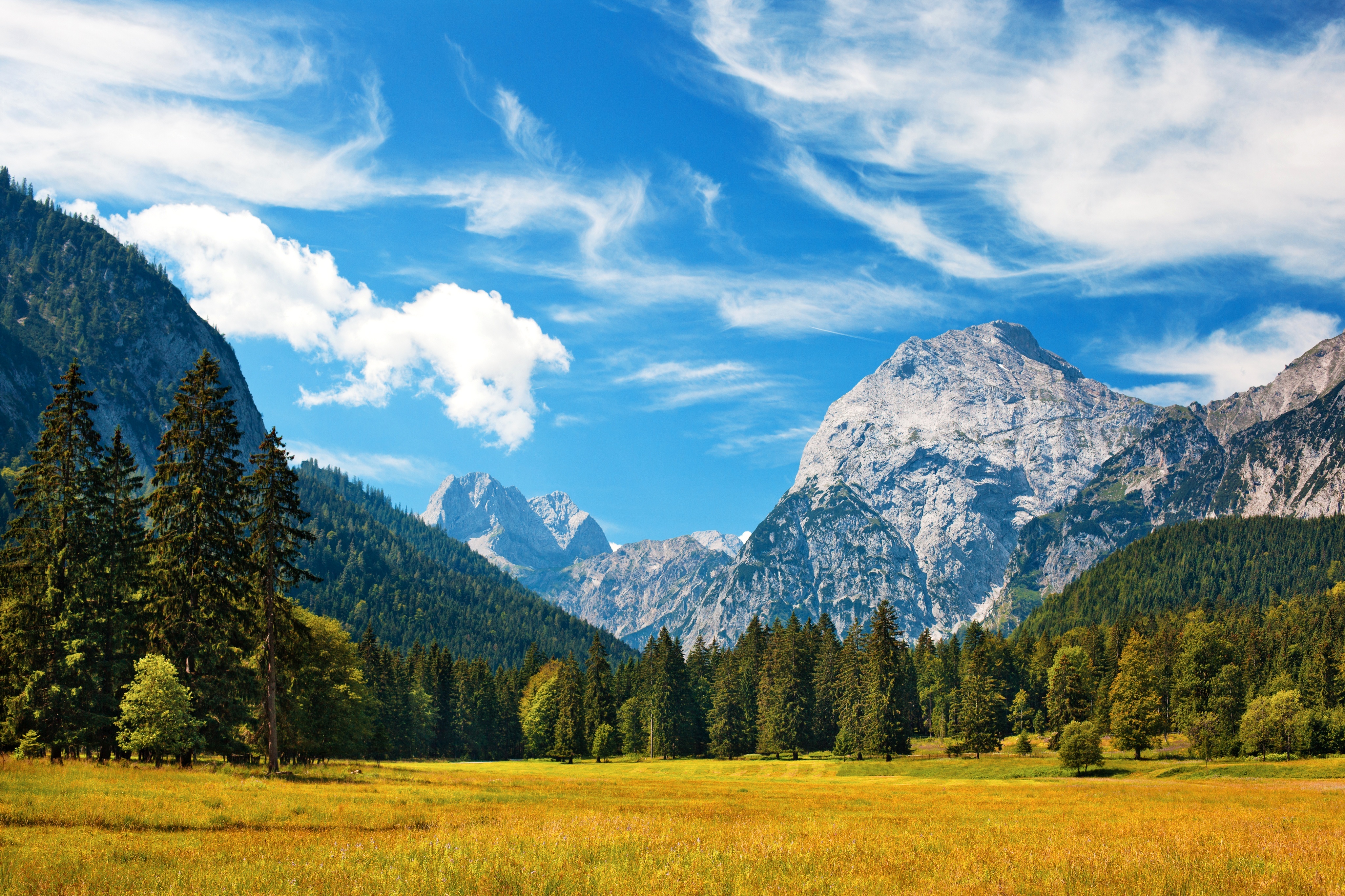 Mountain Forest Background Hd , HD Wallpaper & Backgrounds