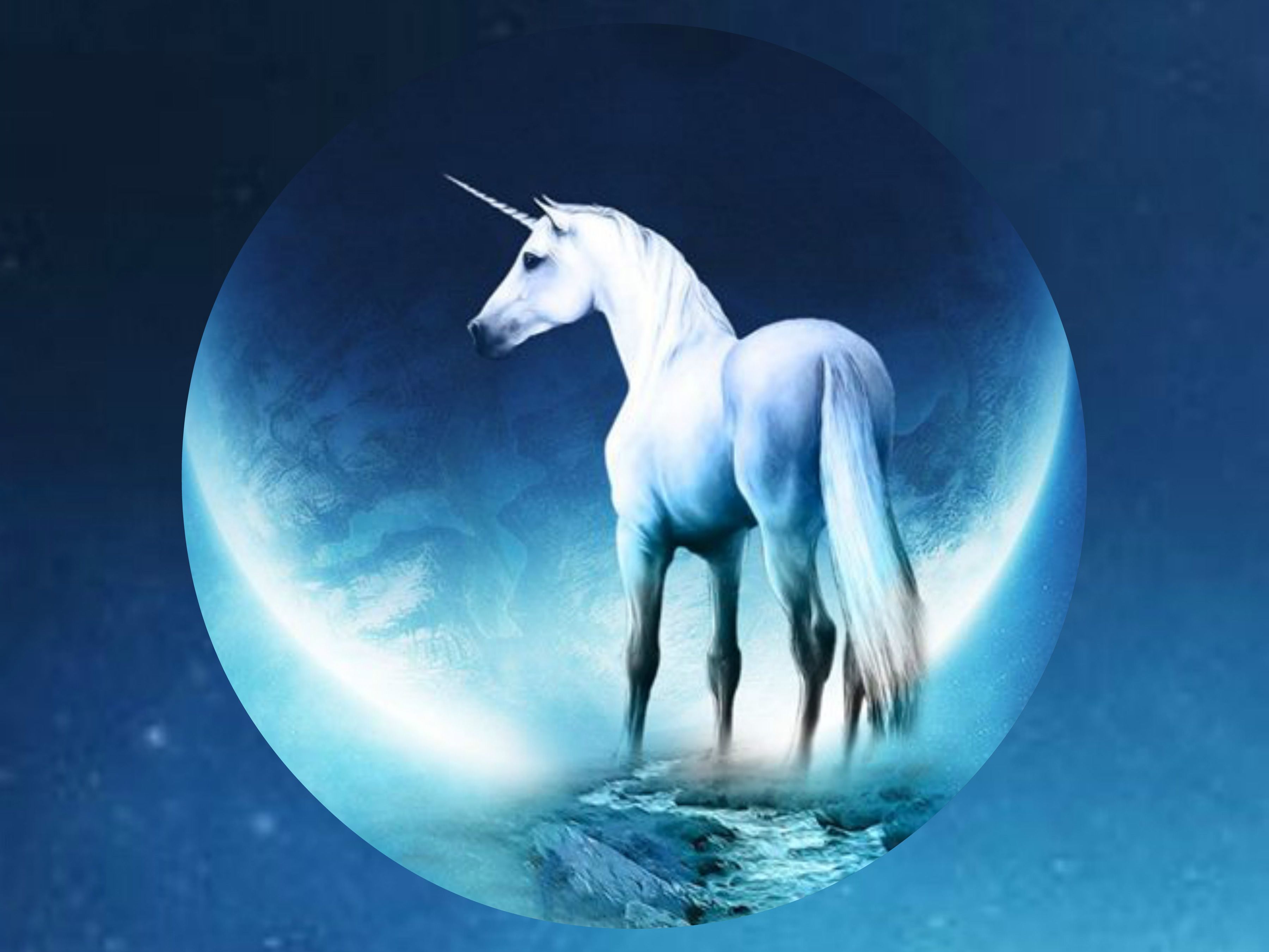 Unicorn Haiku , HD Wallpaper & Backgrounds