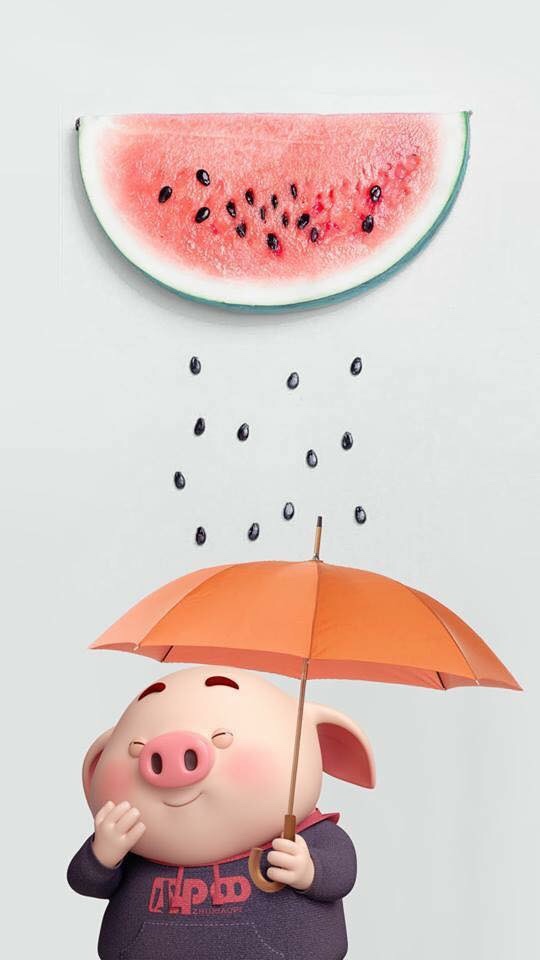 Pig Cute , HD Wallpaper & Backgrounds