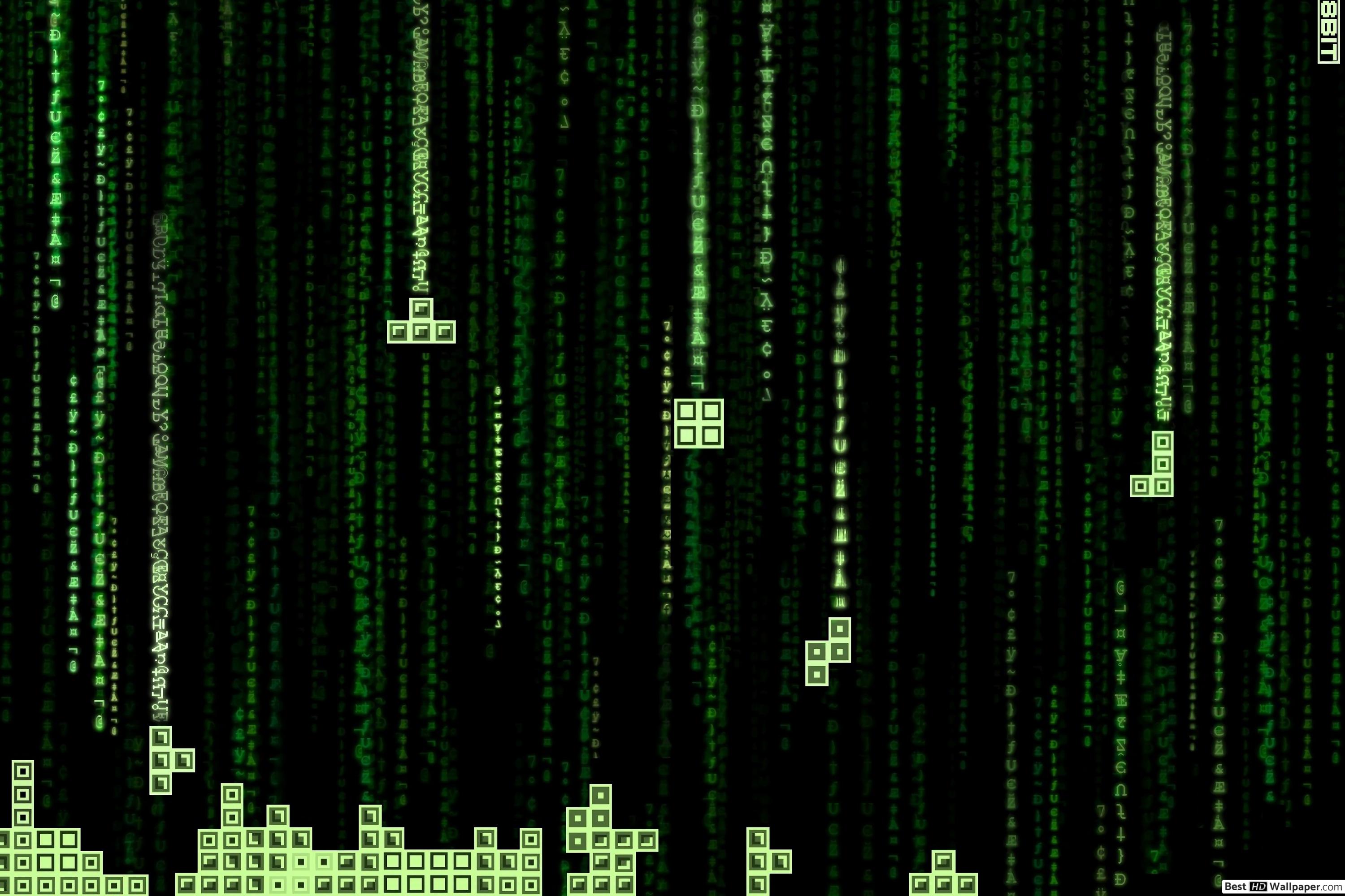 Matrix Numbers Background , HD Wallpaper & Backgrounds
