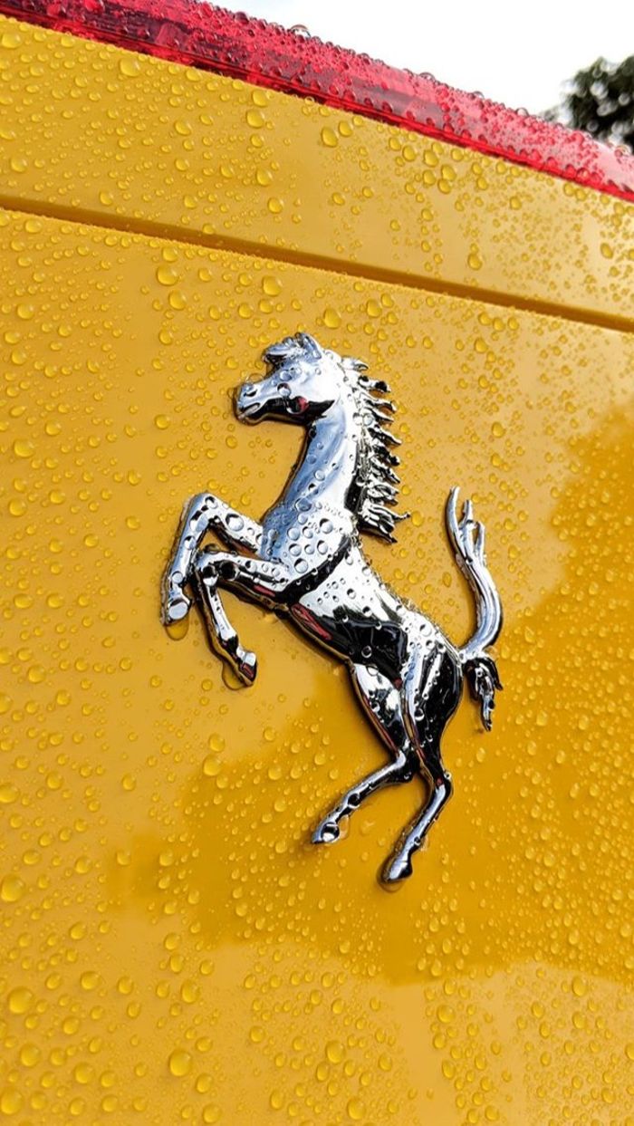 Ferrari Logo Wallpaper - Ferrari Logo Wallpaper Yellow , HD Wallpaper & Backgrounds
