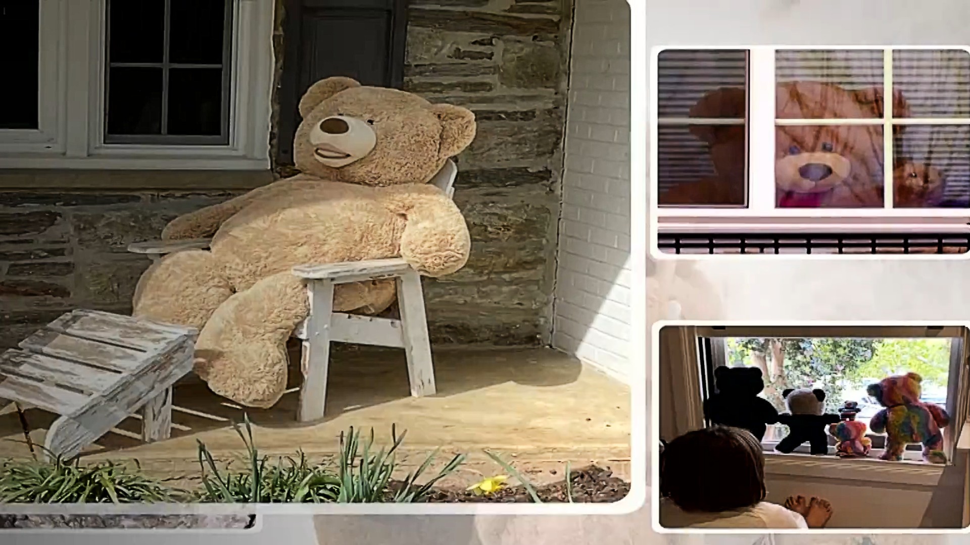 Teddy Bears In Lockdown , HD Wallpaper & Backgrounds