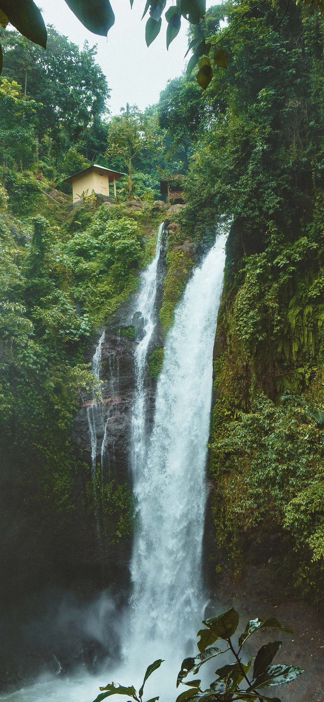 Forest Waterfall Wallpaper Iphone , HD Wallpaper & Backgrounds