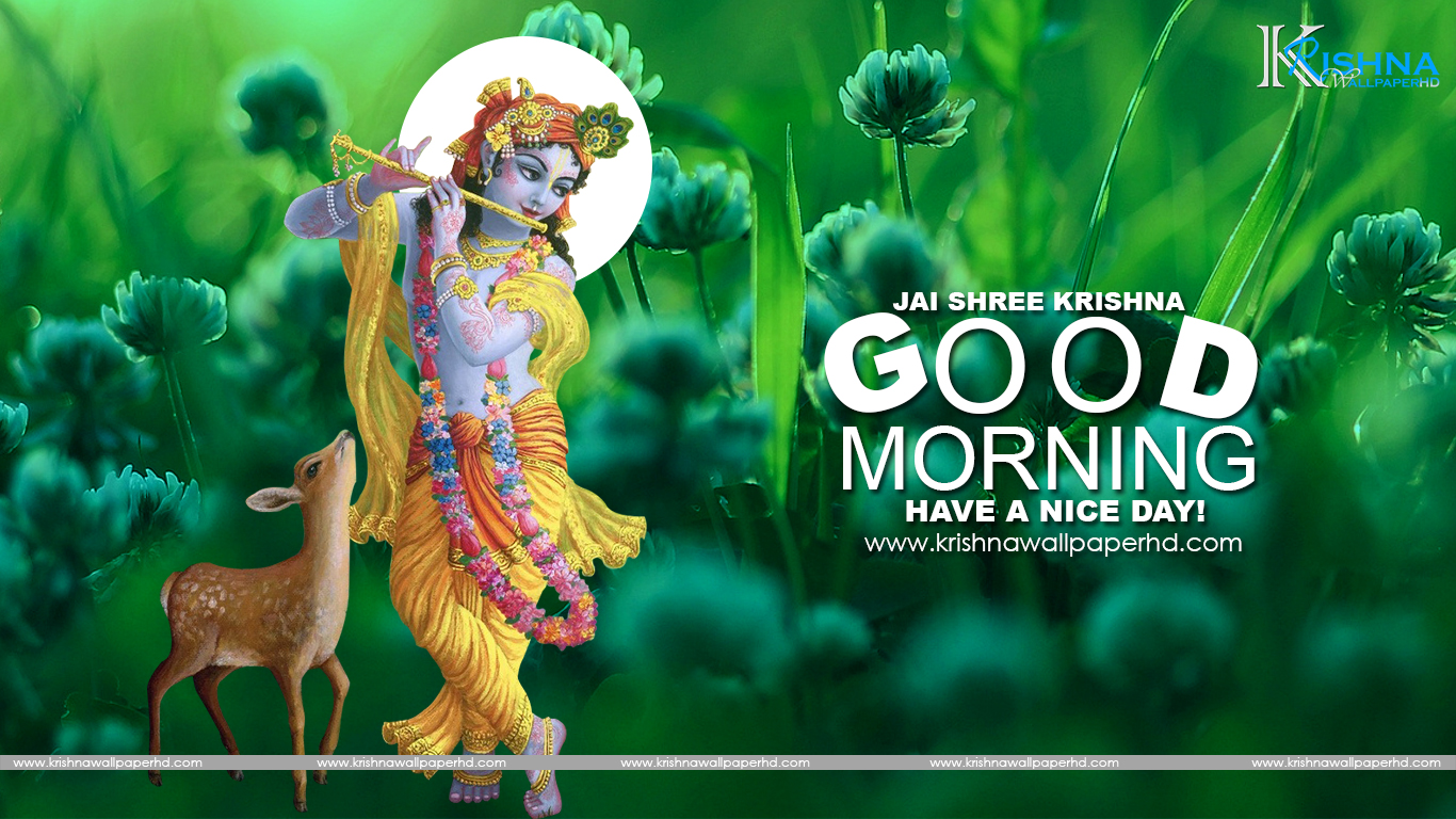 Krishna New Good Morning , HD Wallpaper & Backgrounds