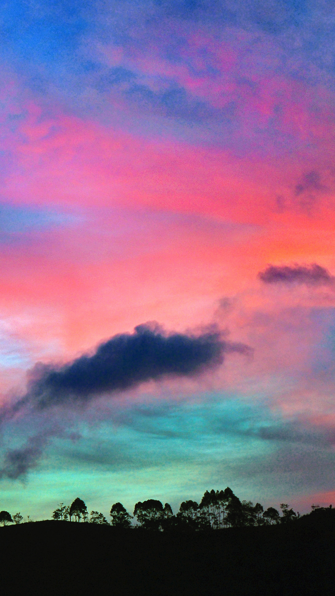 Tree, Sky, Sunset Iphone Wallpaper - Vibrant , HD Wallpaper & Backgrounds